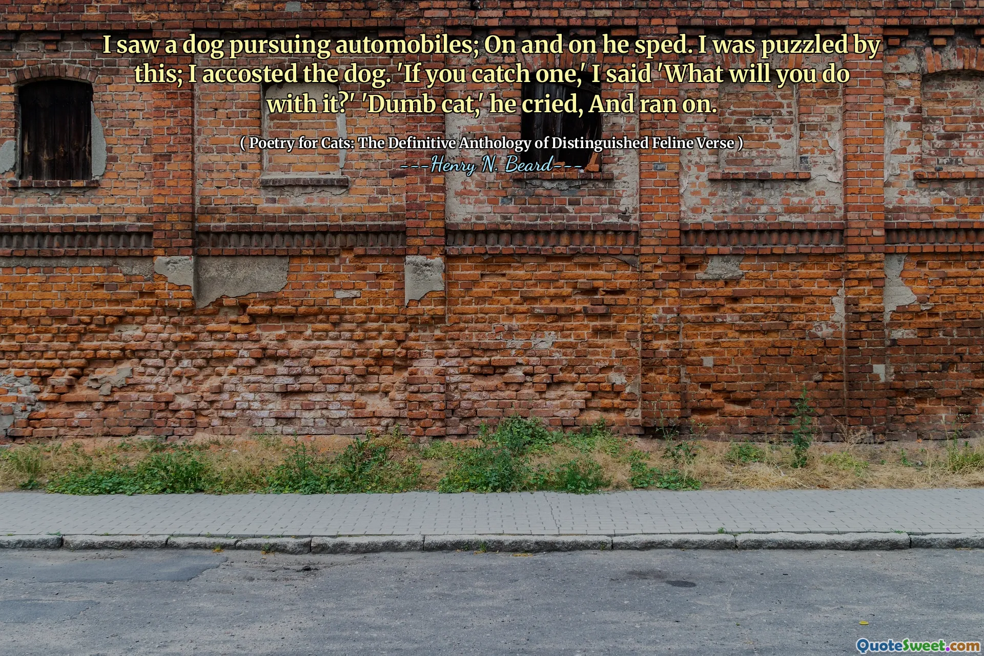 I saw a dog pursuing automobiles; On and on he sped. I was puzzled by this; I accosted the dog. 'If you catch one,' I said 'What will you do with it?' 'Dumb cat,' he cried, And ran on.