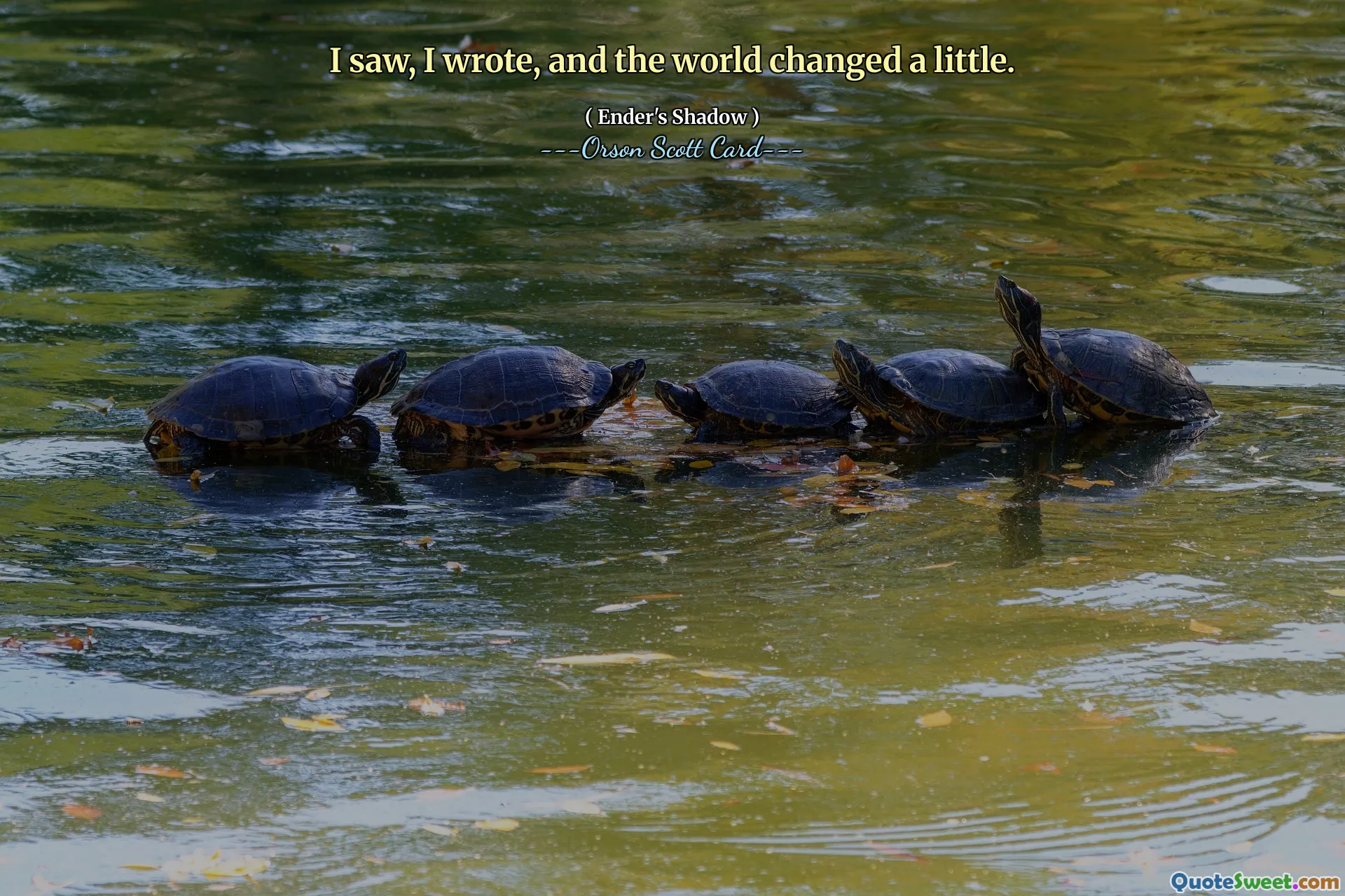 보고, 쓰고, 세상이 조금 바뀌었습니다.