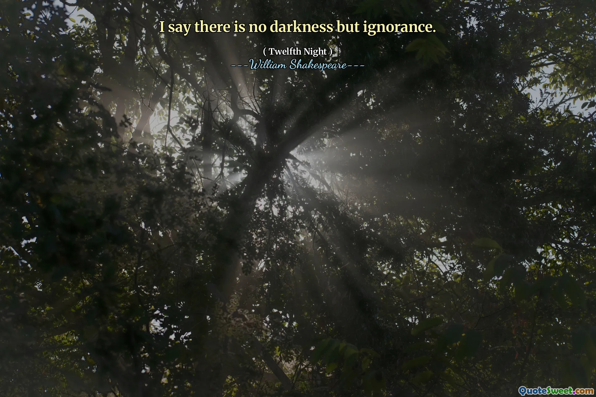 I say there is no darkness but ignorance.