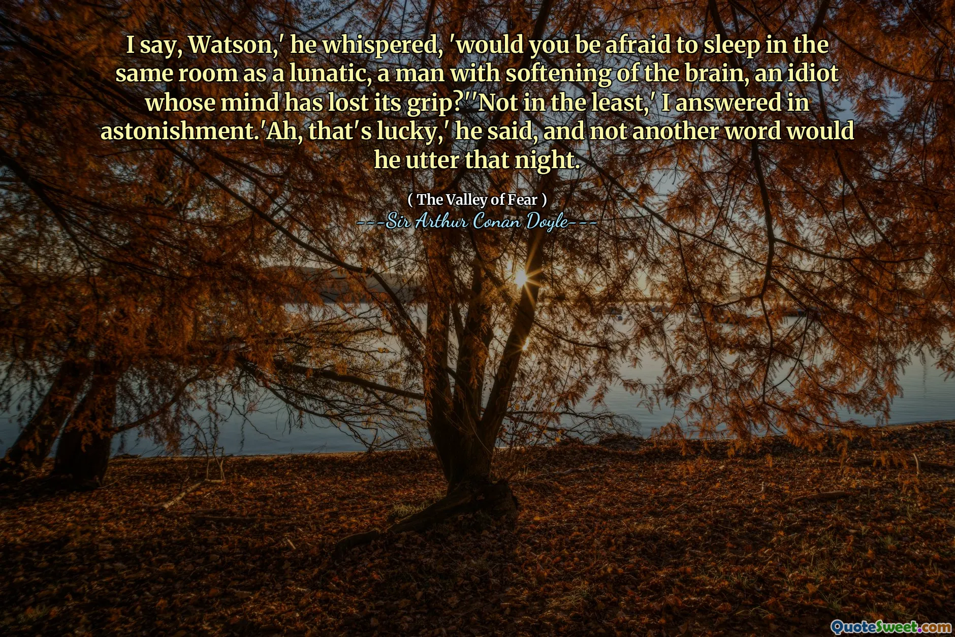 I say, Watson,' he whispered, 'would you be afraid to sleep in the same room as a lunatic, a man with softening of the brain, an idiot whose mind has lost its grip?''Not in the least,' I answered in astonishment.'Ah, that's lucky,' he said, and not another word would he utter that night.