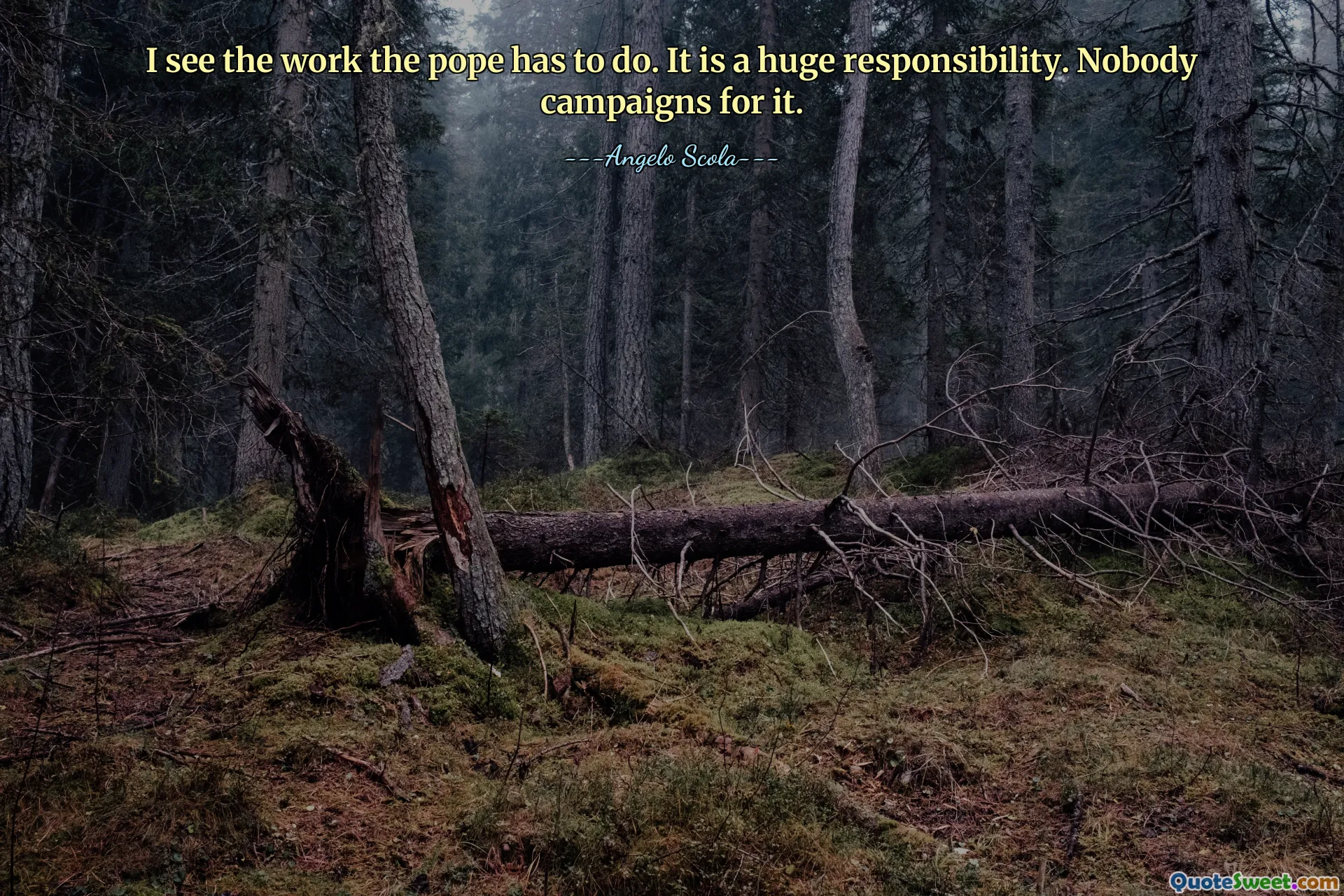 I see the work the pope has to do. It is a huge responsibility. Nobody campaigns for it.