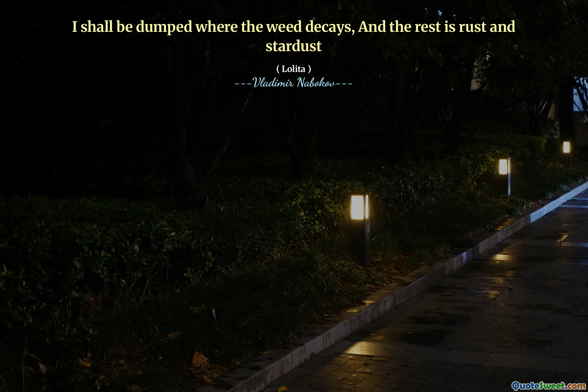 私は雑草が減衰する場所に捨てられ、残りは錆びてスターダストです