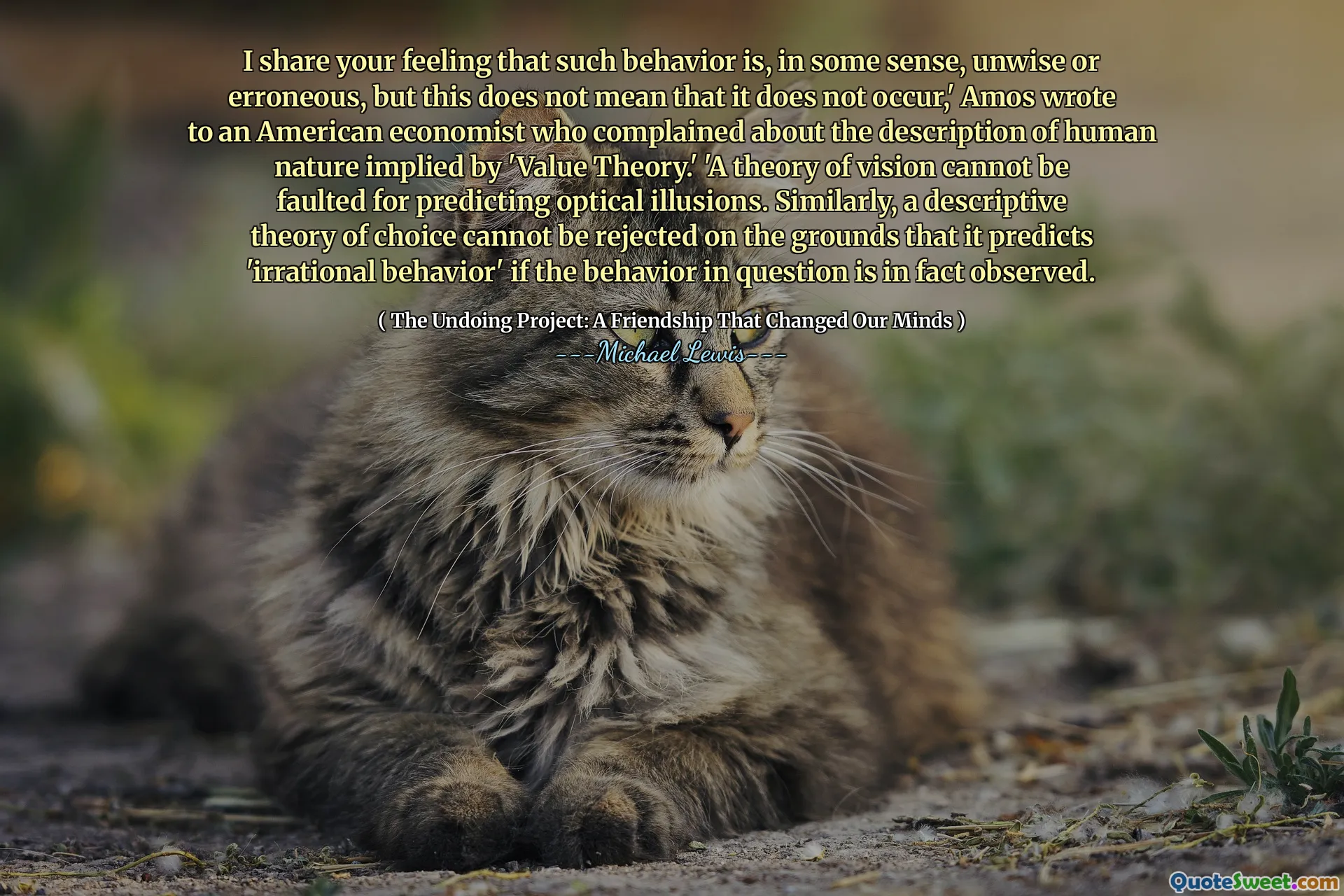 Condivido la tua sensazione che tale comportamento sia, in un certo senso, poco saggio o errato, ma ciò non significa che non si verifichi ", ha scritto Amos a un economista americano che si è lamentato della descrizione della natura umana implicita dalla" teoria del valore ". 'Una teoria della visione non può essere criticata per prevedere illusioni ottiche. Allo stesso modo, una teoria descrittiva di scelta non può essere respinta per quanto prevede il "comportamento irrazionale" se il comportamento in questione viene effettivamente osservato.