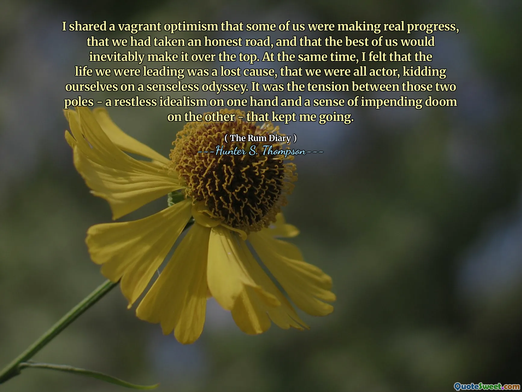 Ich teilte einen vagranten Optimismus mit, dass einige von uns echte Fortschritte machten, dass wir einen ehrlichen Weg unternommen hatten und dass der Beste von uns es unweigerlich übertrieben würde. Gleichzeitig hatte ich das Gefühl, dass das Leben, das wir führten, eine verlorene Sache war, dass wir alle Schauspieler waren und uns über eine sinnlose Odyssee verderben. Es war die Spannung zwischen diesen beiden Polen - ein unruhiger Idealismus einerseits und ein Gefühl des bevorstehenden Untergangs auf der anderen Seite -, der mich am Laufen hielt.