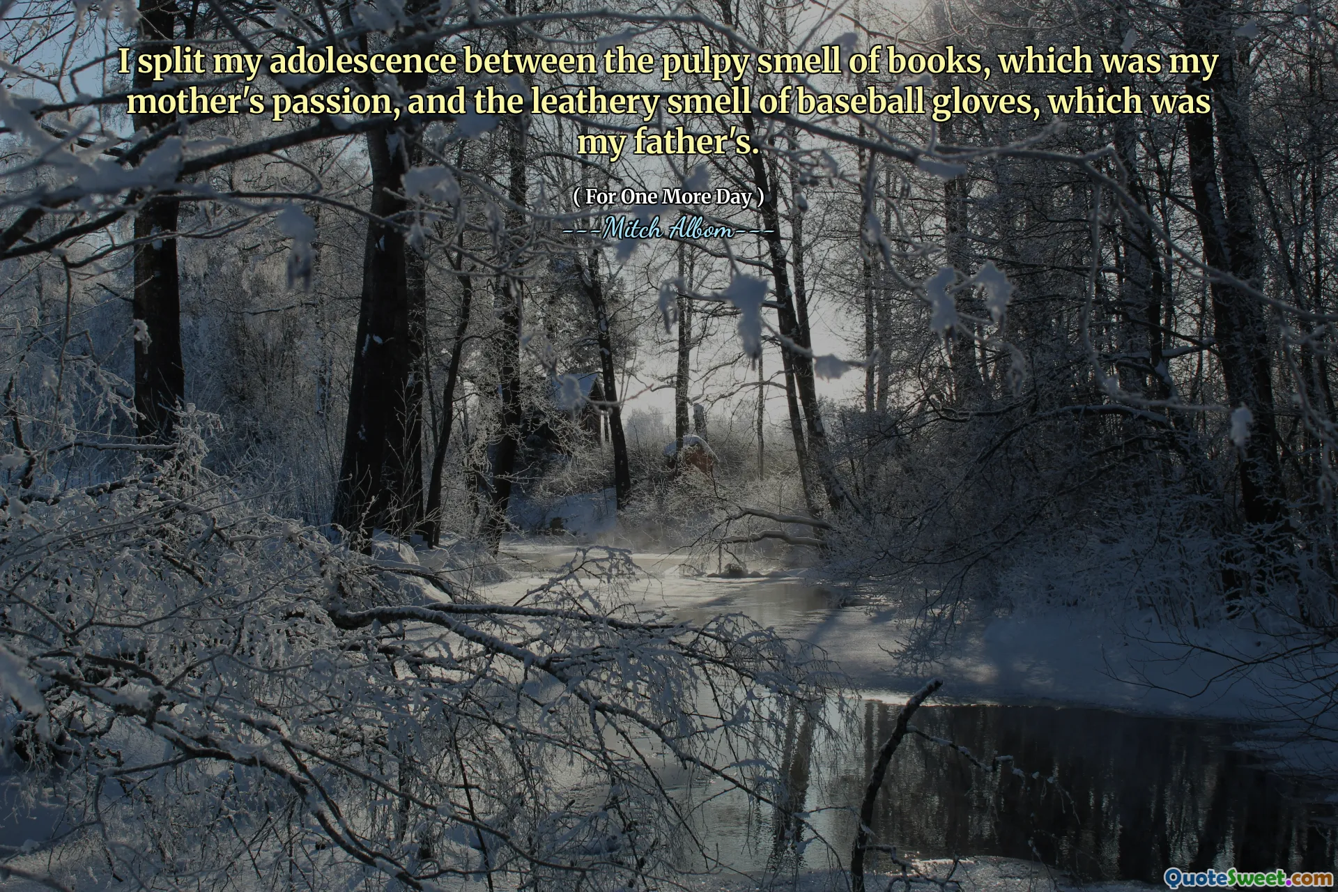 我将青春期的书籍分开，这是我母亲的热情，以及我父亲的棒球手套的皮革气味。