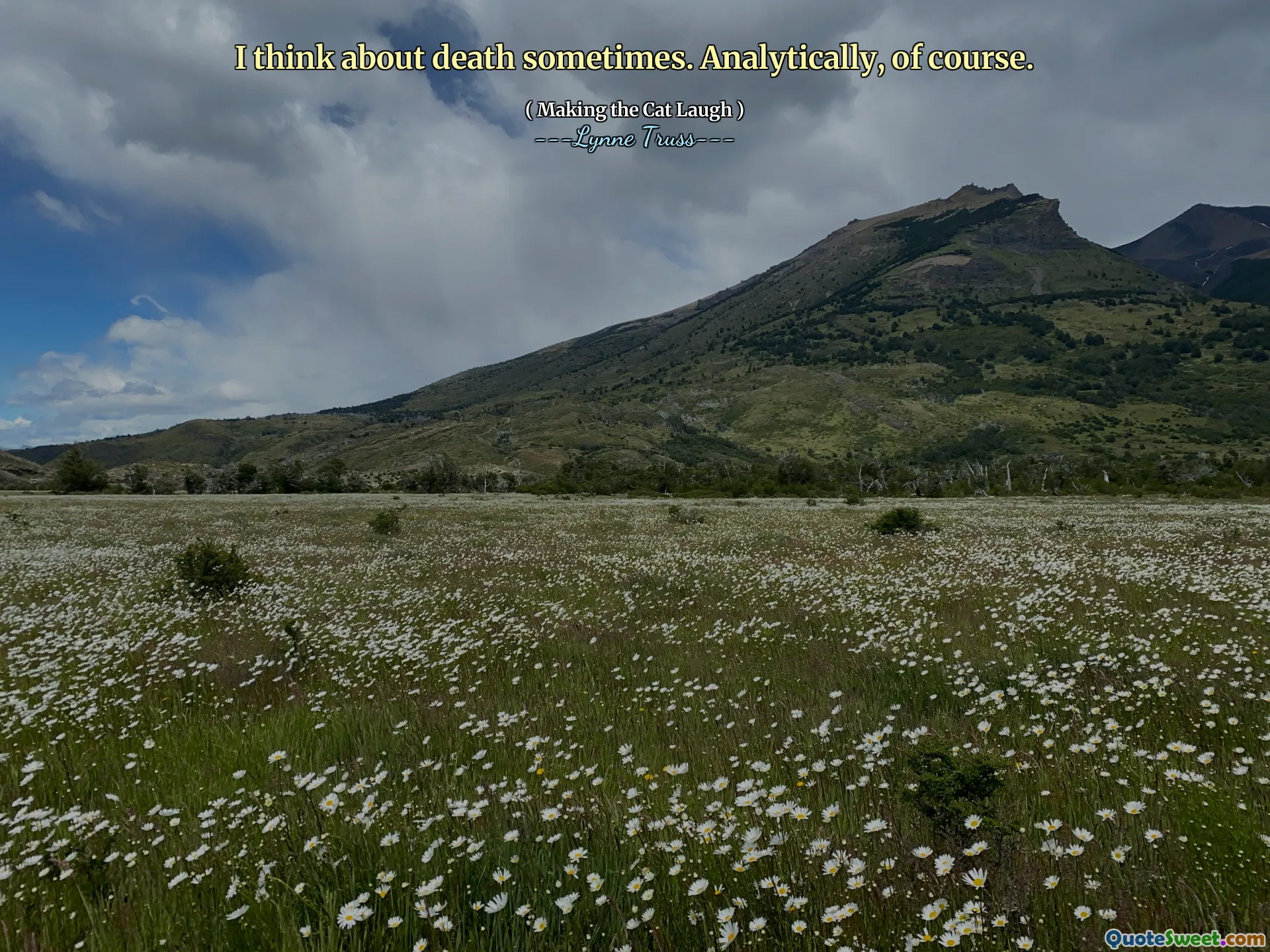 I think about death sometimes. Analytically, of course.