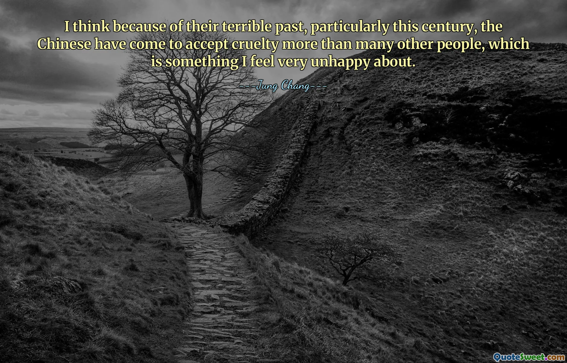 I think because of their terrible past, particularly this century, the Chinese have come to accept cruelty more than many other people, which is something I feel very unhappy about.