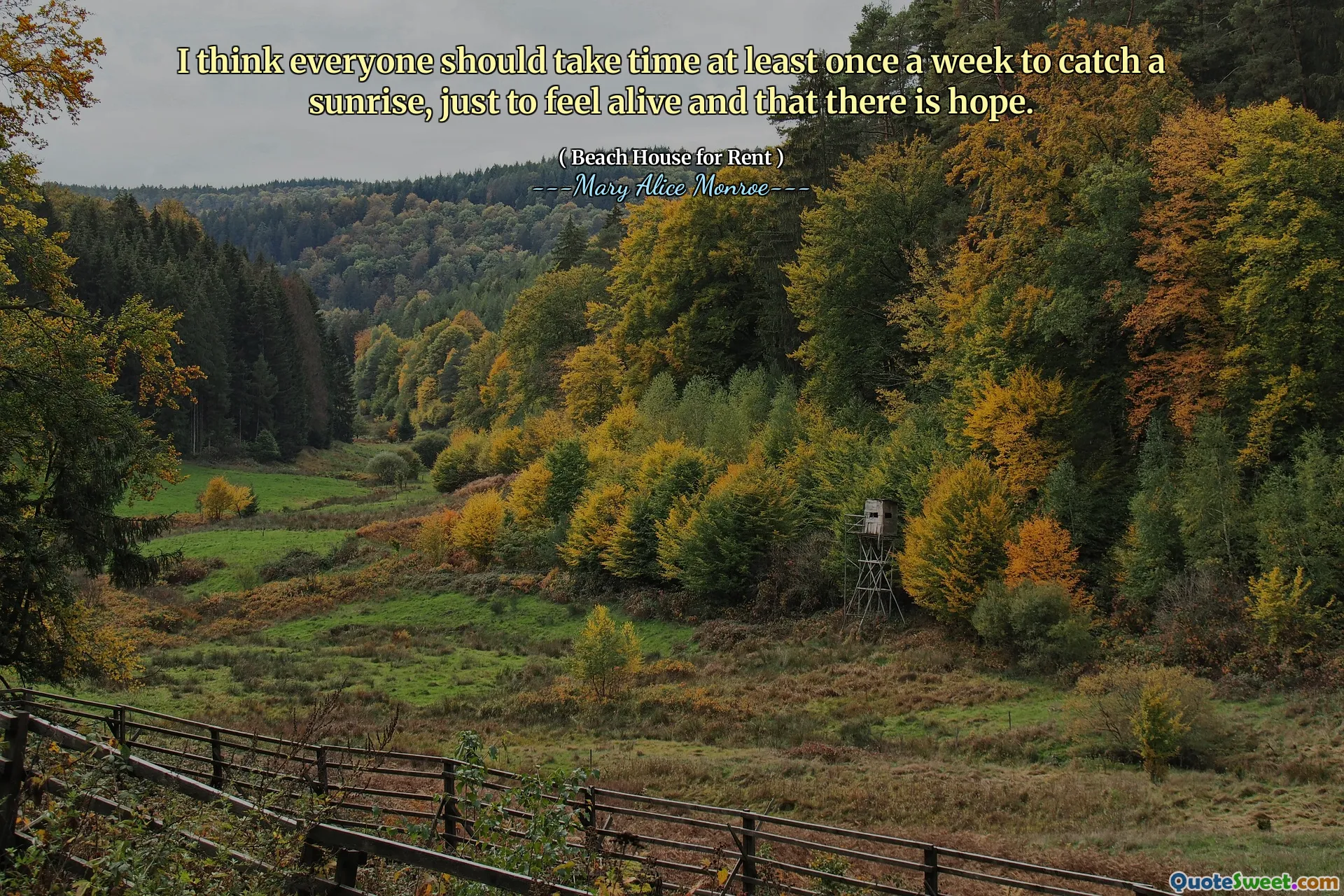 Penso che tutti dovrebbero prendere tempo almeno una volta alla settimana per prendere un'alba, solo per sentirsi in vita e che c'è speranza.