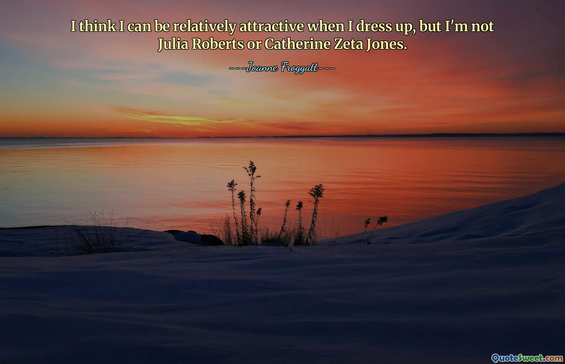 I think I can be relatively attractive when I dress up, but I'm not Julia Roberts or Catherine Zeta Jones.