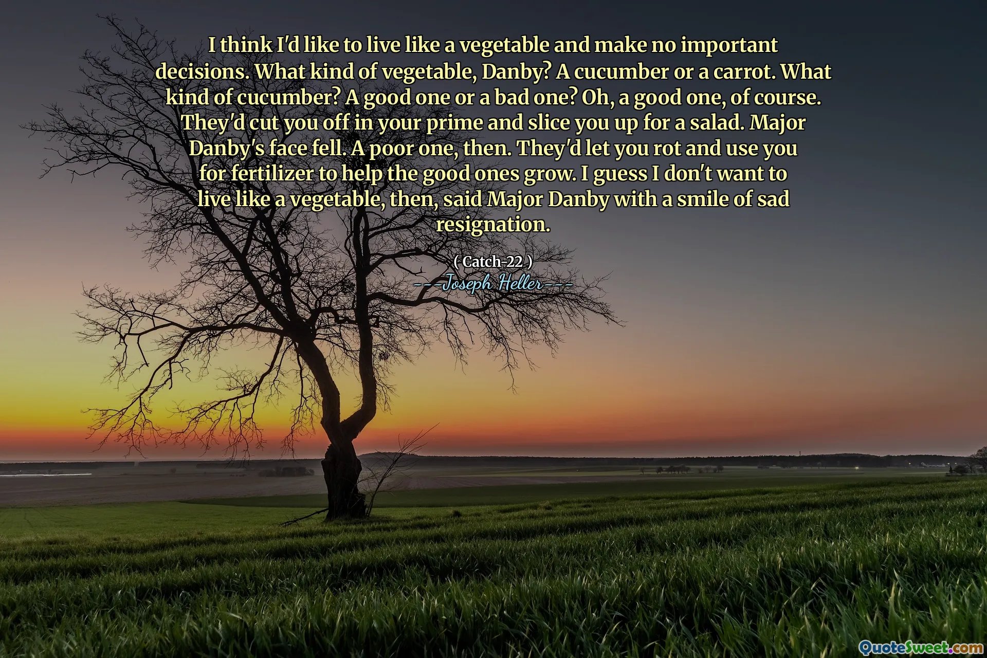 Jeg tror jeg vil leve som en grønnsak og ikke ta noen viktige beslutninger. Hva slags grønnsak, Danby? En agurk eller en gulrot. Hva slags agurk? En god en eller en dårlig en? Å, en god en, selvfølgelig. De hadde kuttet deg av i premien din og skiver deg opp for en salat. Major Danbys ansikt falt. En dårlig, da. De vil la deg råtne og bruke deg til gjødsel for å hjelpe de gode til å vokse. Jeg antar at jeg ikke vil leve som en grønnsak, sa major Danby med et smil av trist avskjed.
