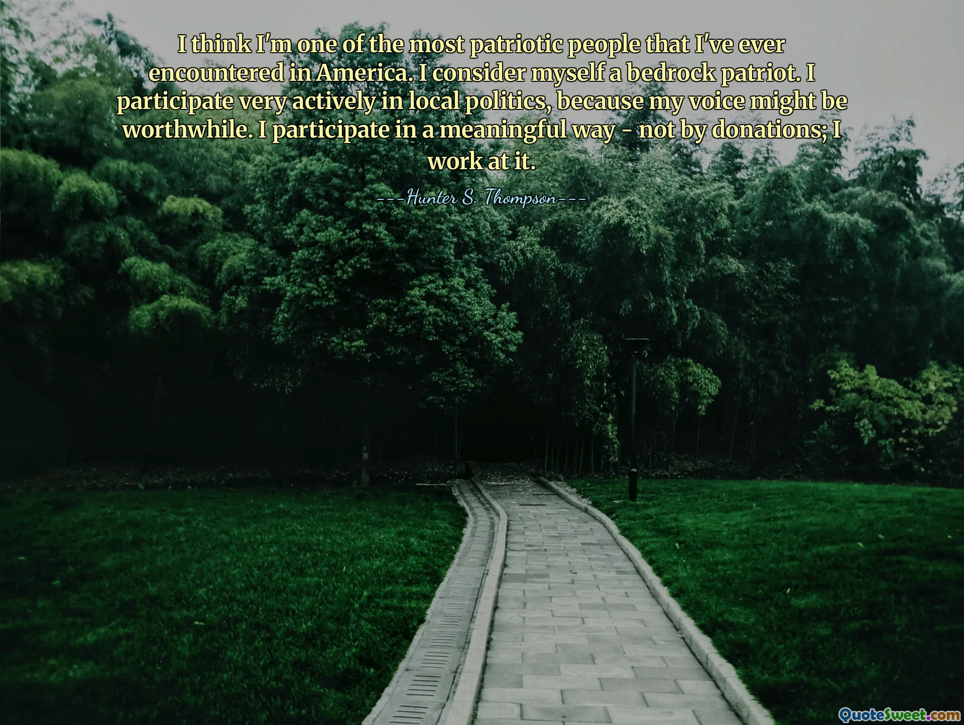 Sanırım Amerika'da karşılaştığım en vatansever insanlardan biriyim. Kendimi temel bir vatansever olarak görüyorum. Yerel siyasete çok aktif olarak katılıyorum çünkü sesim değerli olabilir. Bağış yaparak değil, anlamlı bir şekilde katılıyorum; Üzerinde çalışıyorum.