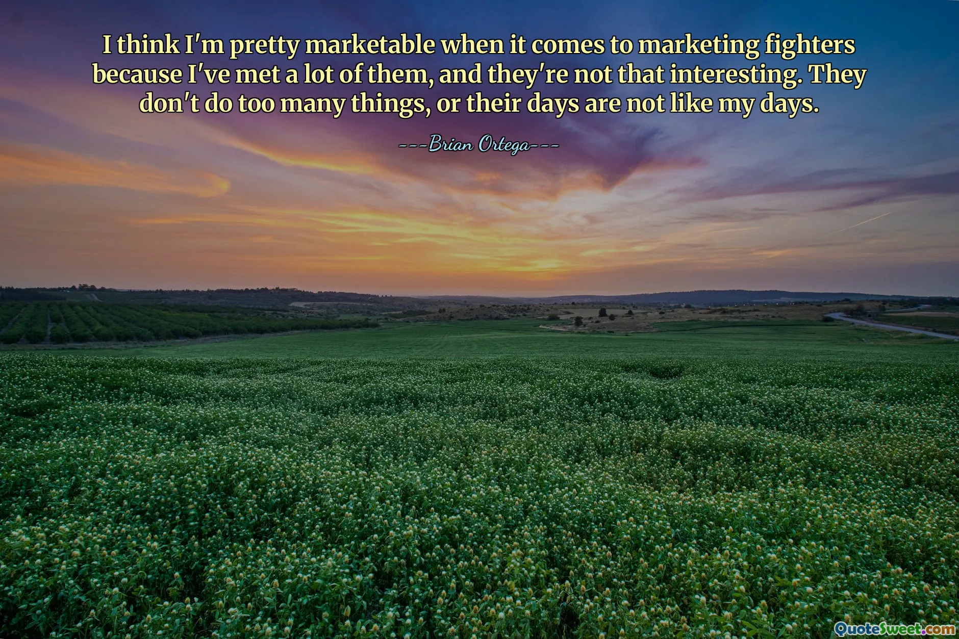 I think I'm pretty marketable when it comes to marketing fighters because I've met a lot of them, and they're not that interesting. They don't do too many things, or their days are not like my days.