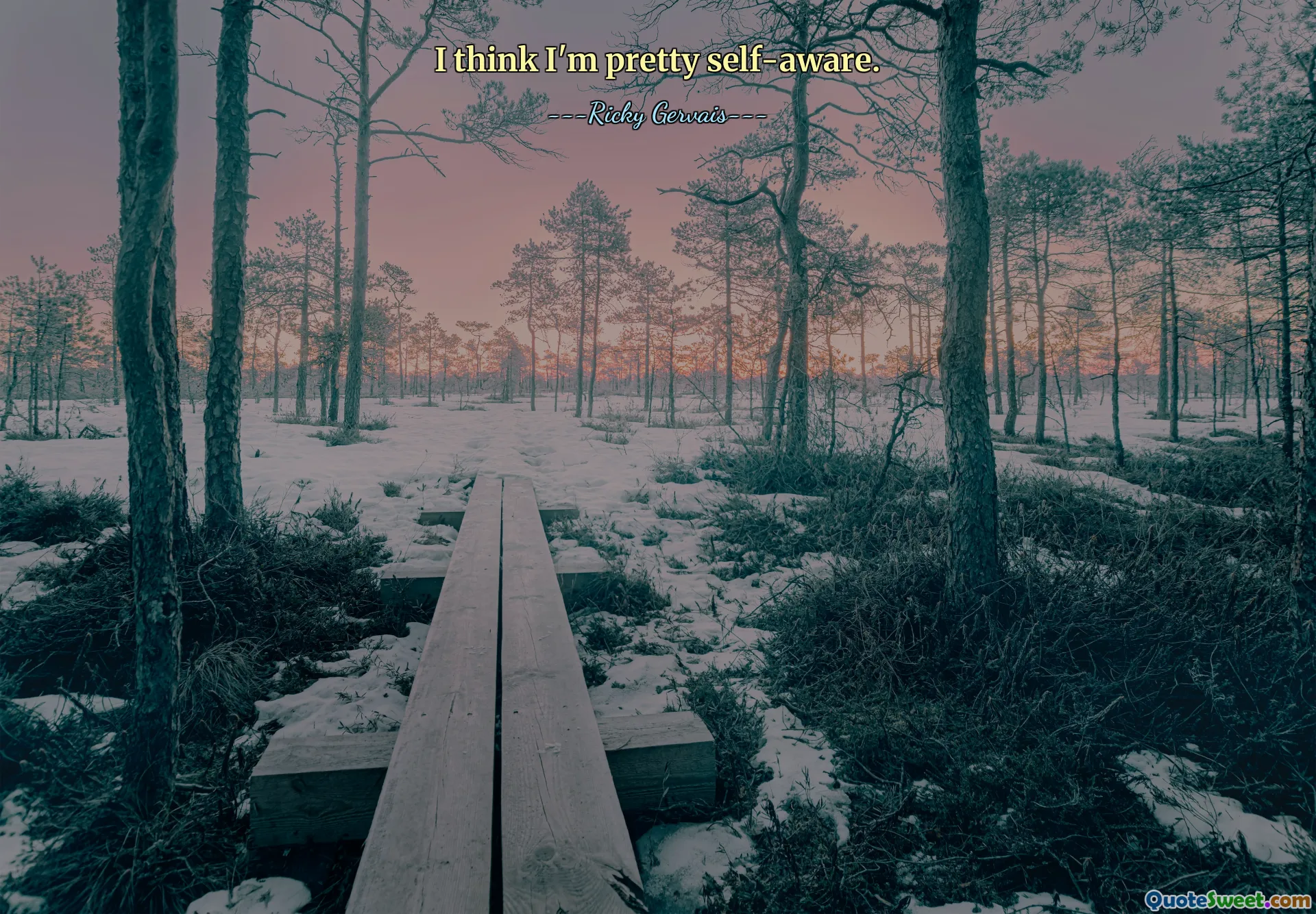 Tôi nghĩ tôi khá tự nhận thức.