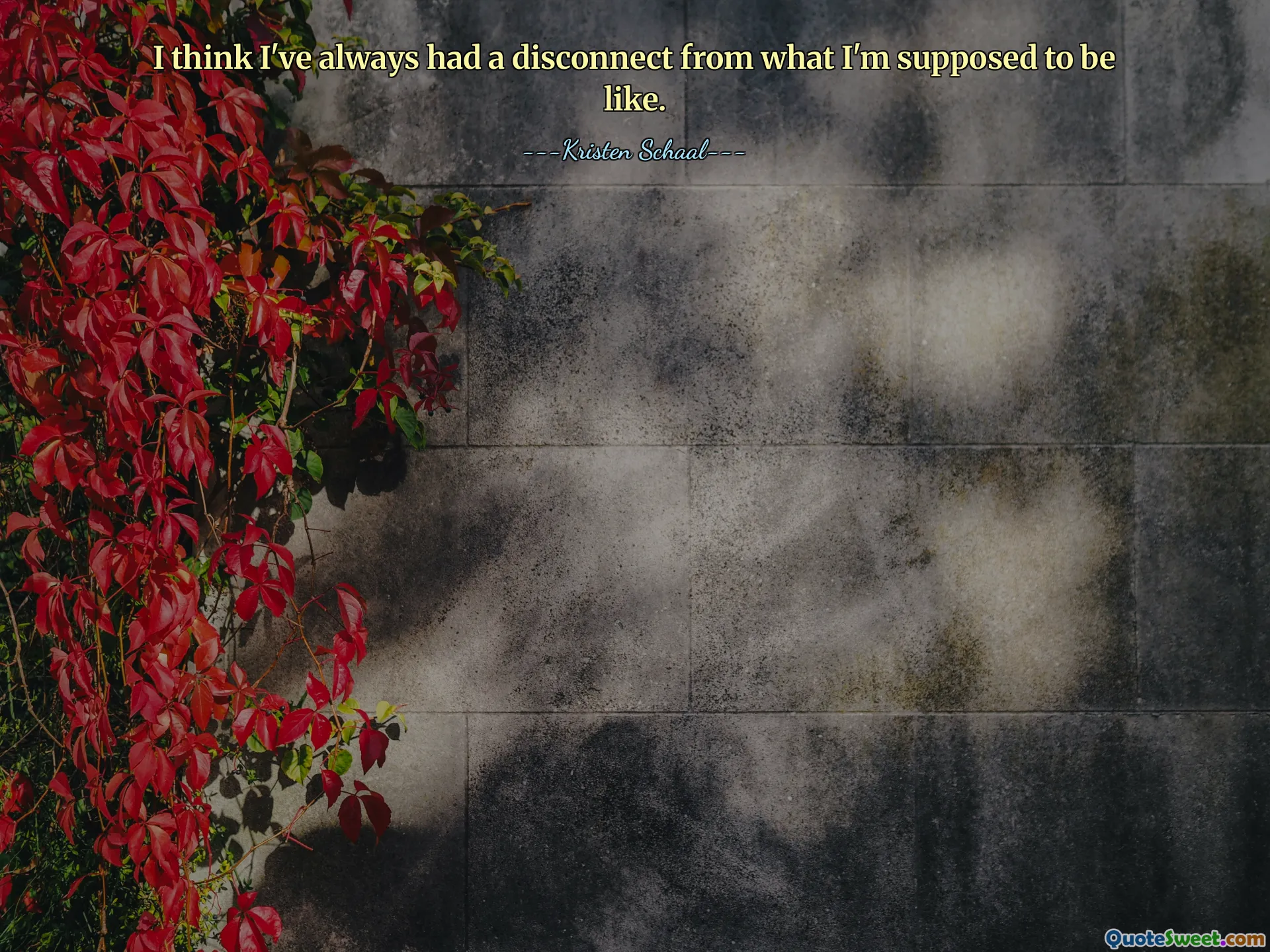 I think I've always had a disconnect from what I'm supposed to be like.