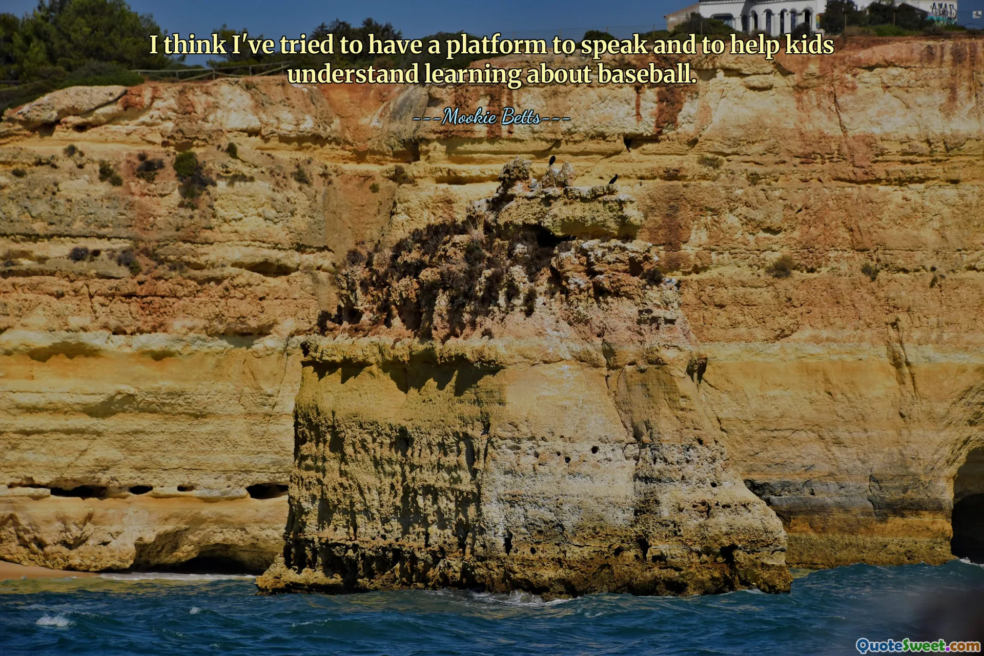 I think I've tried to have a platform to speak and to help kids understand learning about baseball.