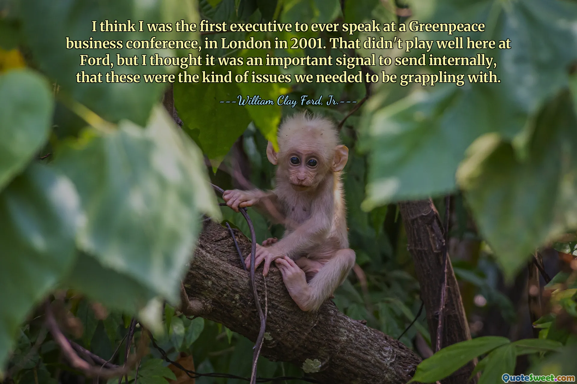 I think I was the first executive to ever speak at a Greenpeace business conference, in London in 2001. That didn't play well here at Ford, but I thought it was an important signal to send internally, that these were the kind of issues we needed to be grappling with.