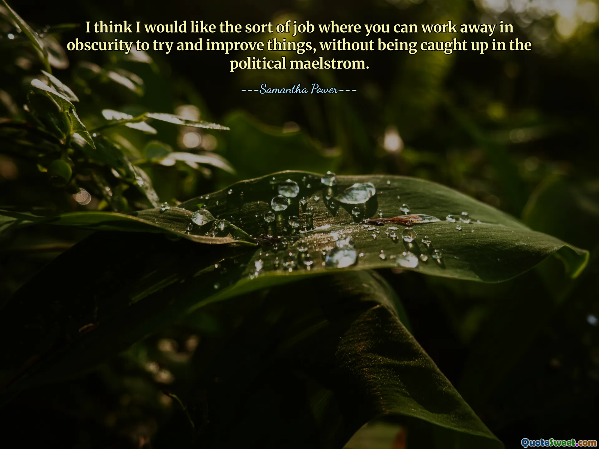 Myślę, że chciałbym mieć taką pracę, w której można pracować w ukryciu, próbując ulepszyć pewne rzeczy, bez wdawania się w wir polityczny.
