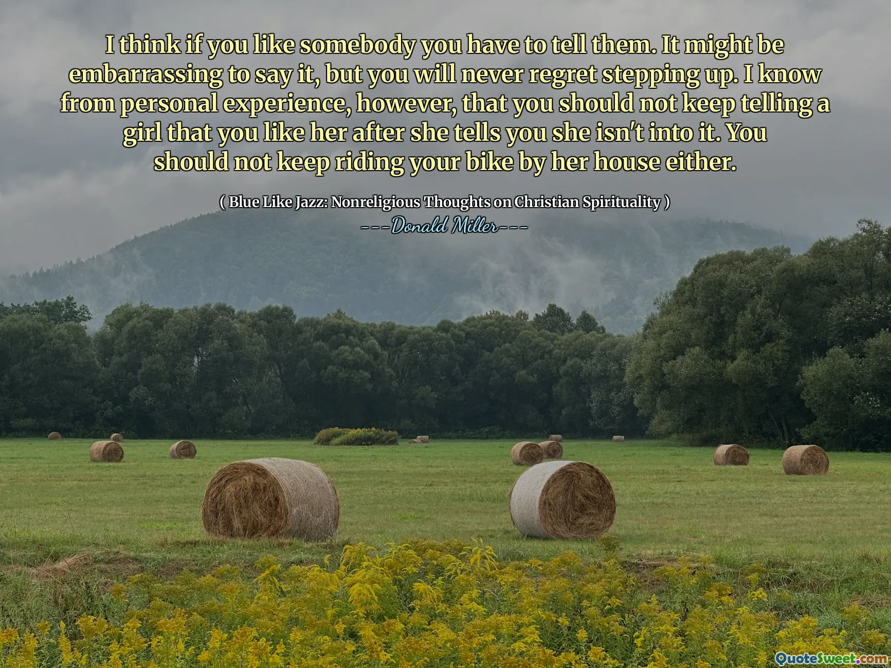 Cred că dacă îți place cineva, trebuie să le spui. S -ar putea să fie jenant să o spui, dar nu vei regreta niciodată să crești. Știu din experiența personală, însă, nu ar trebui să continui să spui unei fete că îți place ea după ce îți spune că nu este în ea. Nici nu ar trebui să continuați să mergeți cu bicicleta la casa ei.