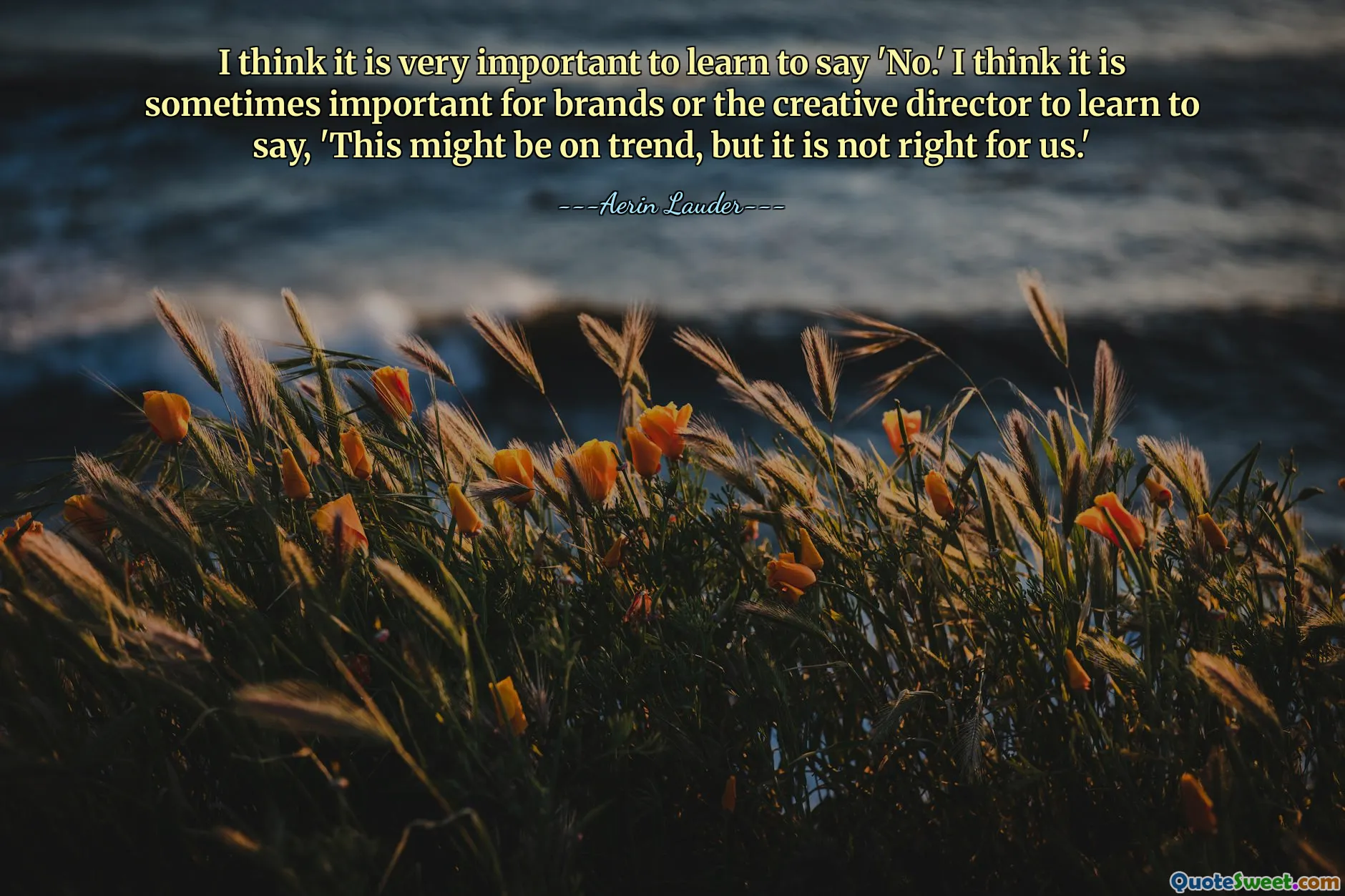 Jag tror att det är väldigt viktigt att lära sig att säga "Nej." Jag tror att det ibland är viktigt för varumärken eller den kreativa chefen att lära sig att säga: "Det här kan vara på trenden, men det är inte rätt för oss."