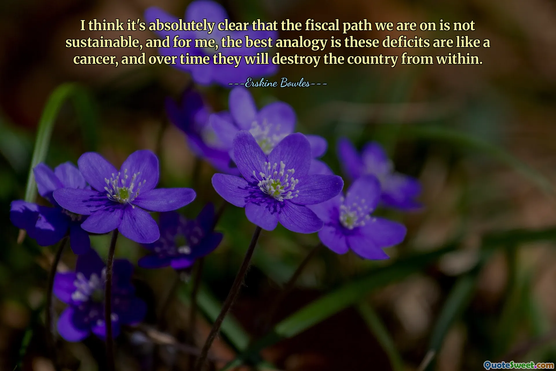 Myslím, že je naprosto jasné, že fiskální cesta, na které jsme, není udržitelná, a pro mě je nejlepší analogií tyto deficity jsou jako rakovina a časem zničí zemi zevnitř.
