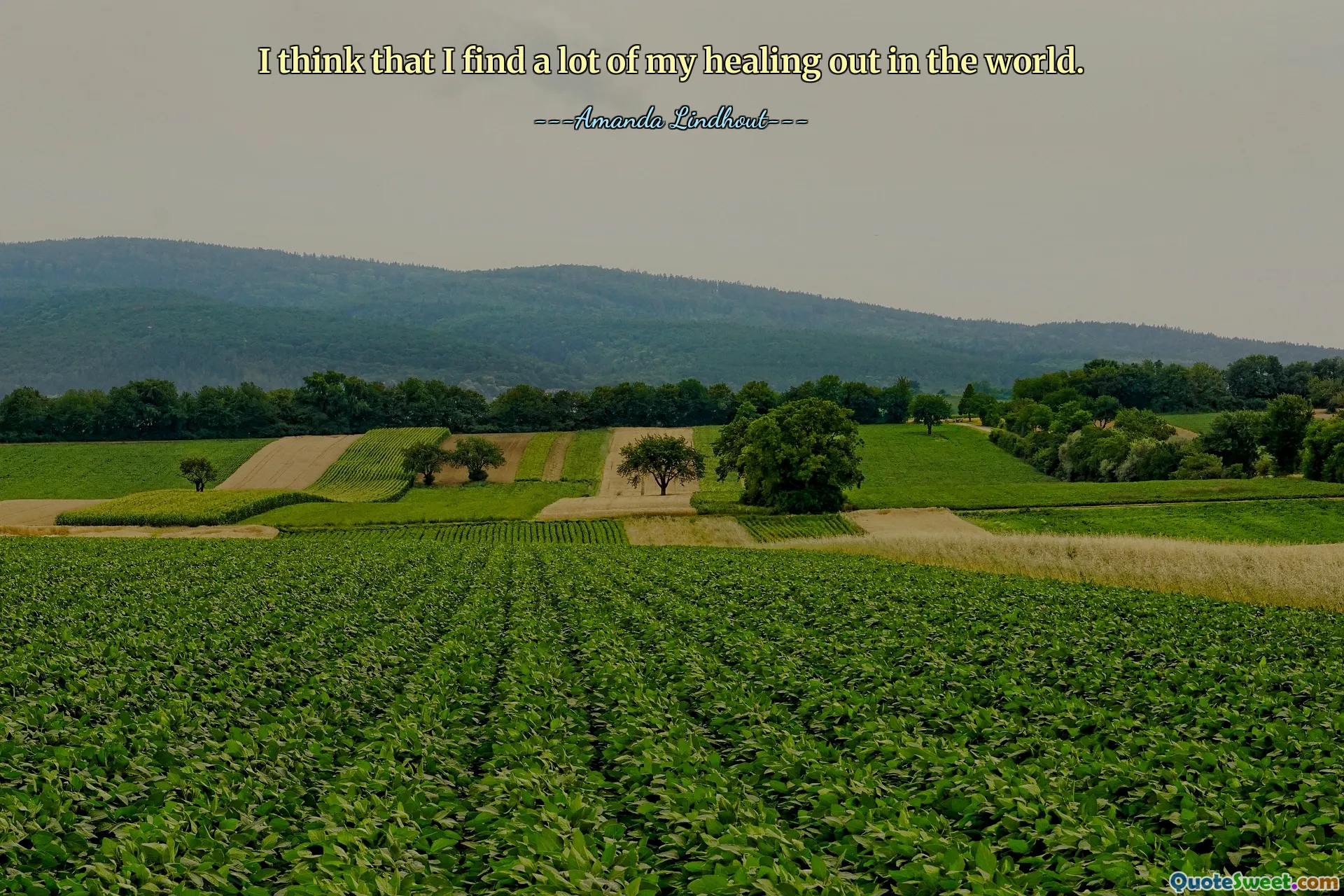 I think that I find a lot of my healing out in the world.