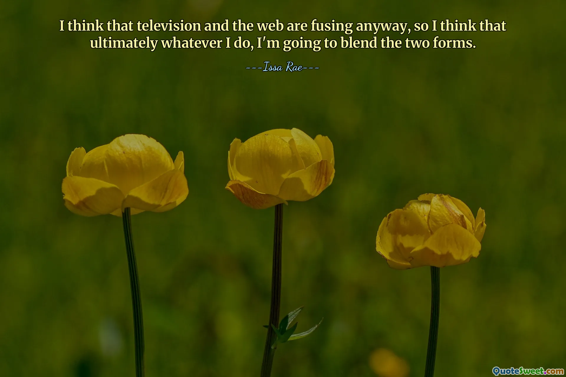 I think that television and the web are fusing anyway, so I think that ultimately whatever I do, I'm going to blend the two forms.