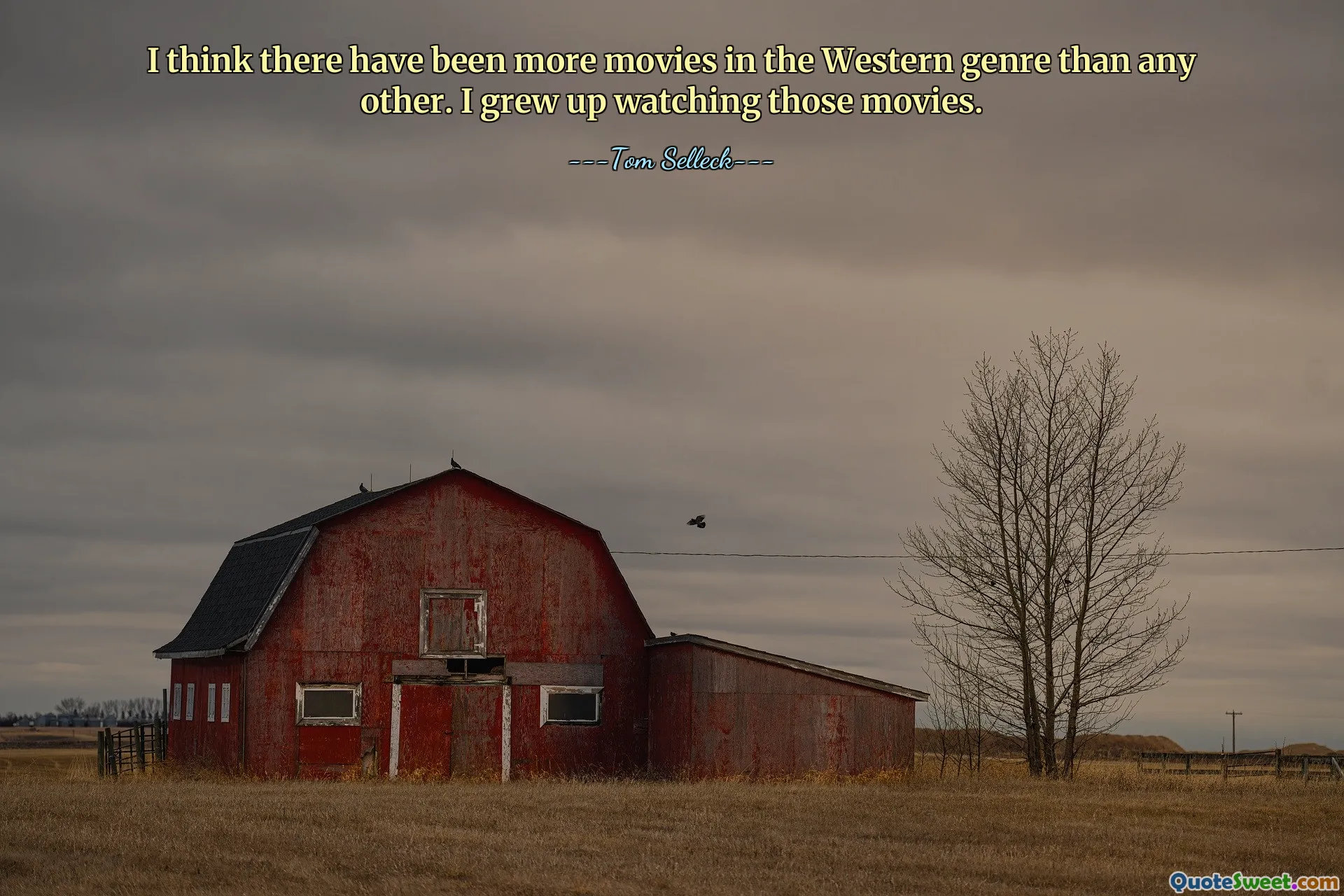 I think there have been more movies in the Western genre than any other. I grew up watching those movies.