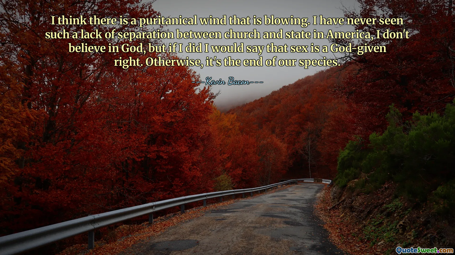 I think there is a puritanical wind that is blowing. I have never seen such a lack of separation between church and state in America, I don't believe in God, but if I did I would say that sex is a God-given right. Otherwise, it's the end of our species.