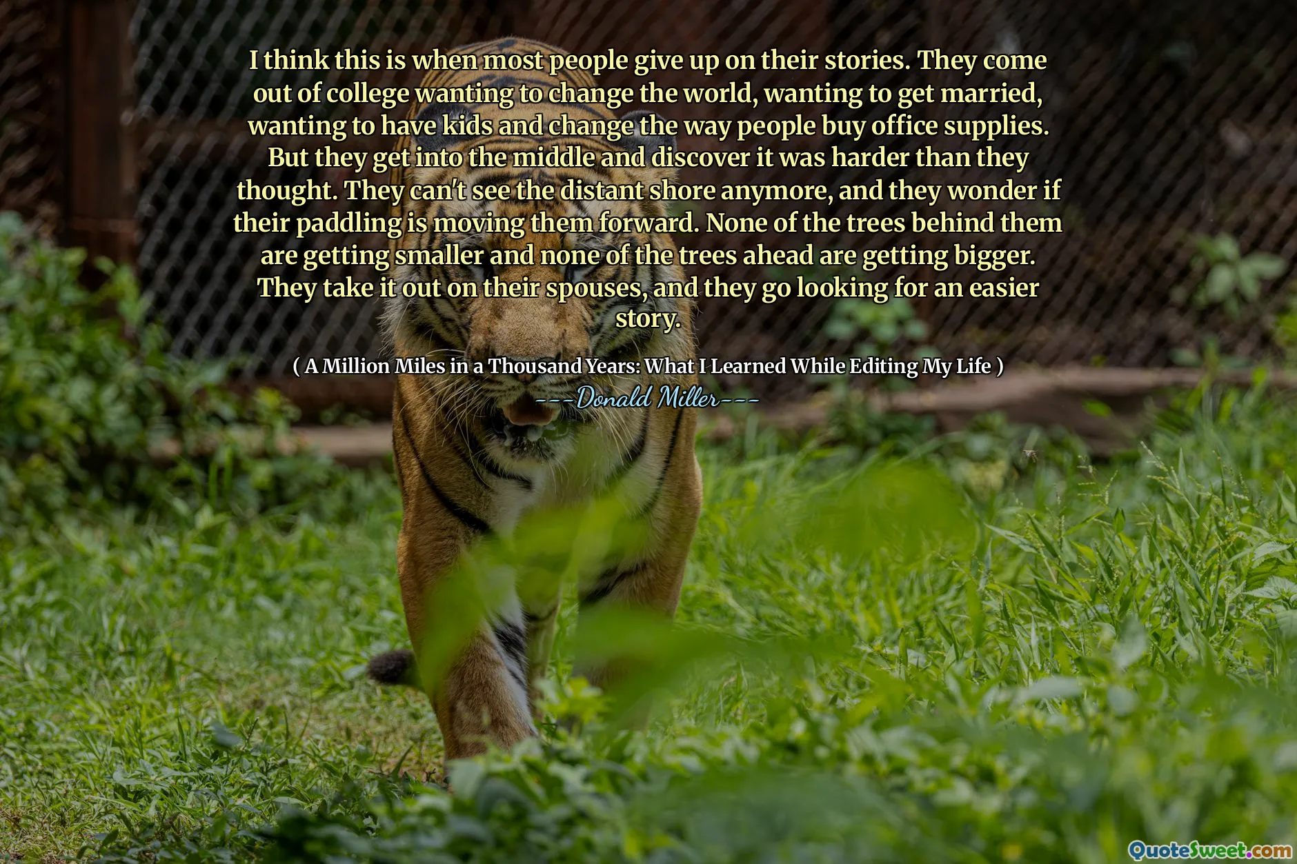 나는 이것이 대부분의 사람들이 그들의 이야기를 포기할 때라고 생각합니다. 그들은 대학에서 나와 세상을 바꾸고 싶어하고, 결혼하기를 원하고, 아이들을 갖고 싶어하고 사람들이 사무용품을 사는 방식을 바꾸고 싶어합니다. 그러나 그들은 중간에 들어가서 생각했던 것보다 힘들다는 것을 알게됩니다. 그들은 더 이상 먼 해안을 볼 수 없으며, 그들의 얕은 소리가 그들을 앞으로 움직이고 있는지 궁금합니다. 그 뒤에있는 나무 중 어느 것도 점점 더 작아지고 앞으로 나무가 더 커지지 않습니다. 그들은 배우자에게 그것을 꺼내고 더 쉬운 이야기를 찾고 있습니다.