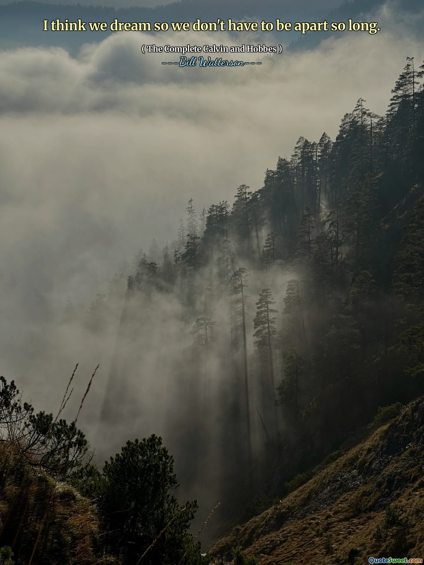 I think we dream so we don't have to be apart so long.