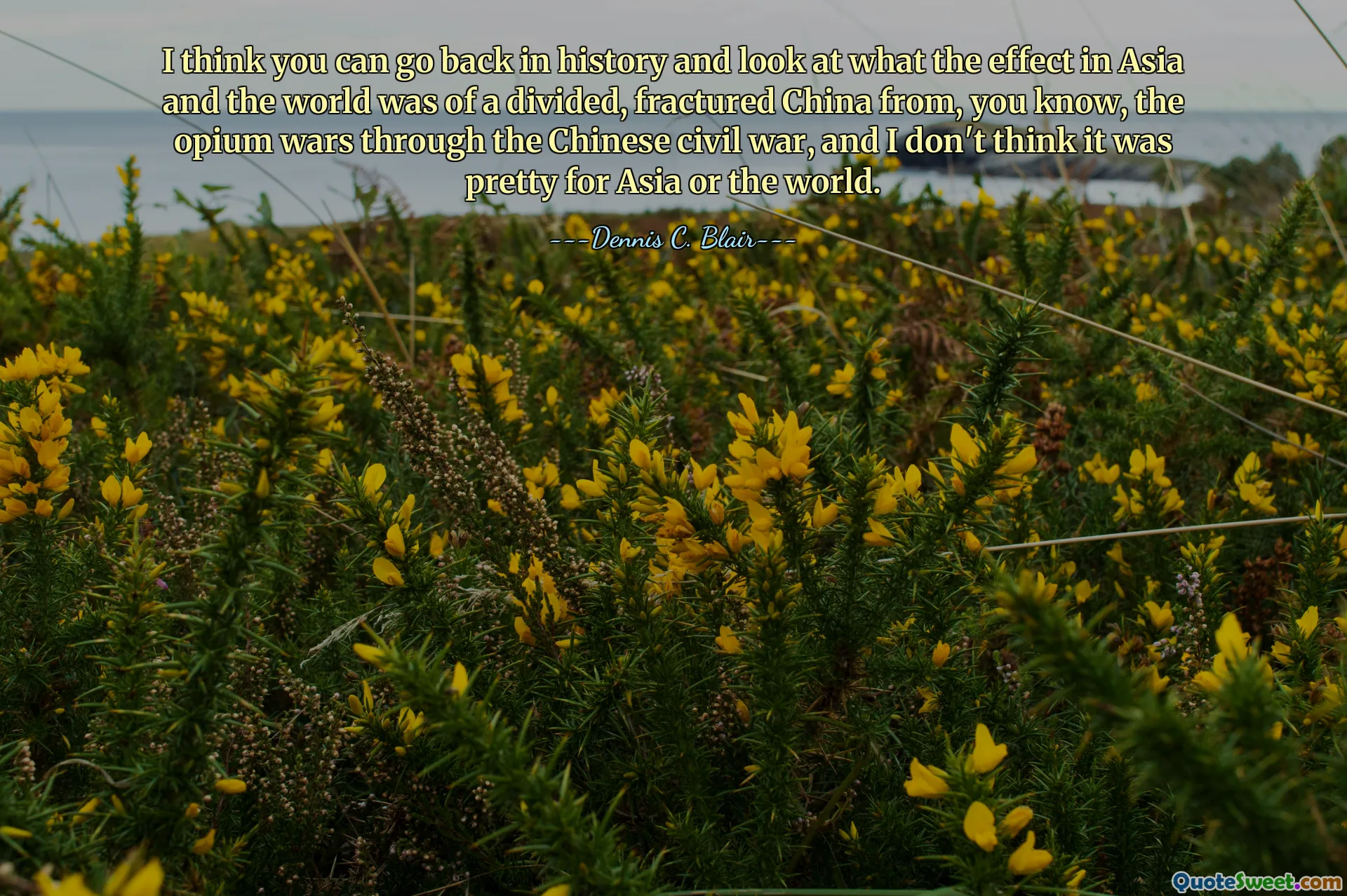 I think you can go back in history and look at what the effect in Asia and the world was of a divided, fractured China from, you know, the opium wars through the Chinese civil war, and I don't think it was pretty for Asia or the world.