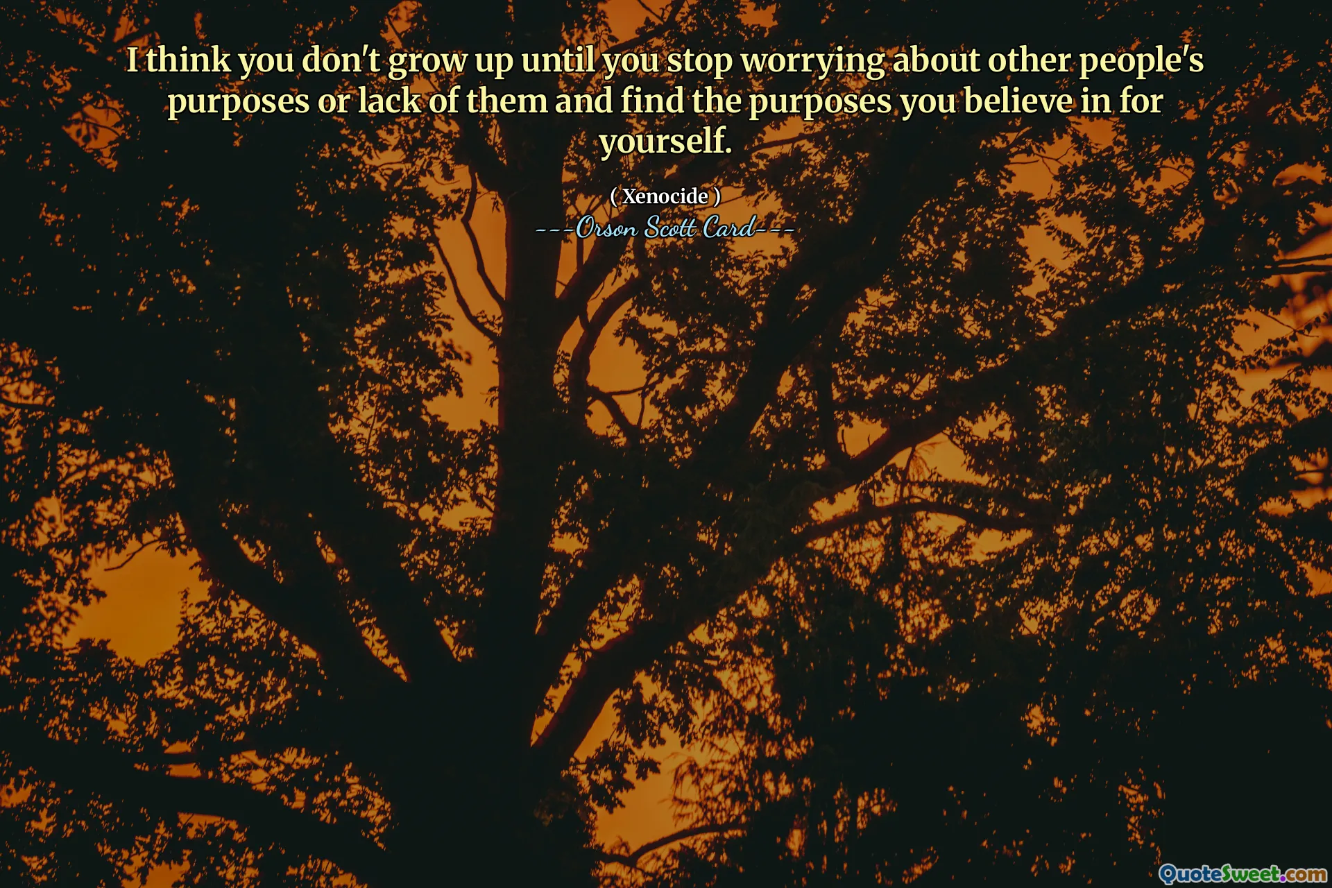 I think you don't grow up until you stop worrying about other people's purposes or lack of them and find the purposes you believe in for yourself.