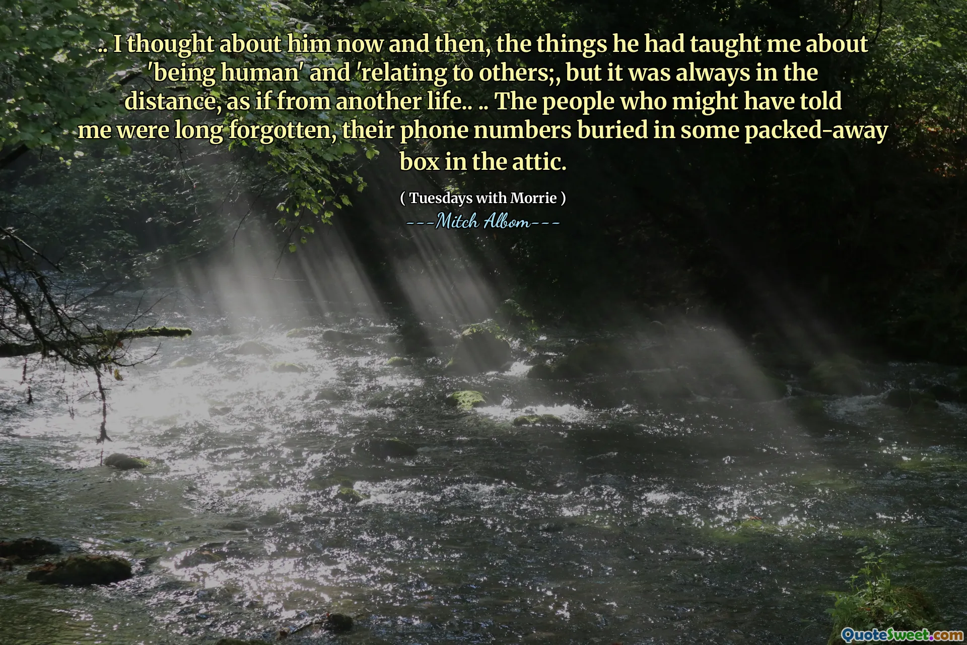 .. Pensé en él de vez en cuando, las cosas que me había enseñado sobre 'ser humano' y 'relacionado con los demás;, pero siempre estaba en la distancia, como de otra vida ... Me dijeron que fueron olvidados, sus números de teléfono enterrados en una caja llena en el ático.
