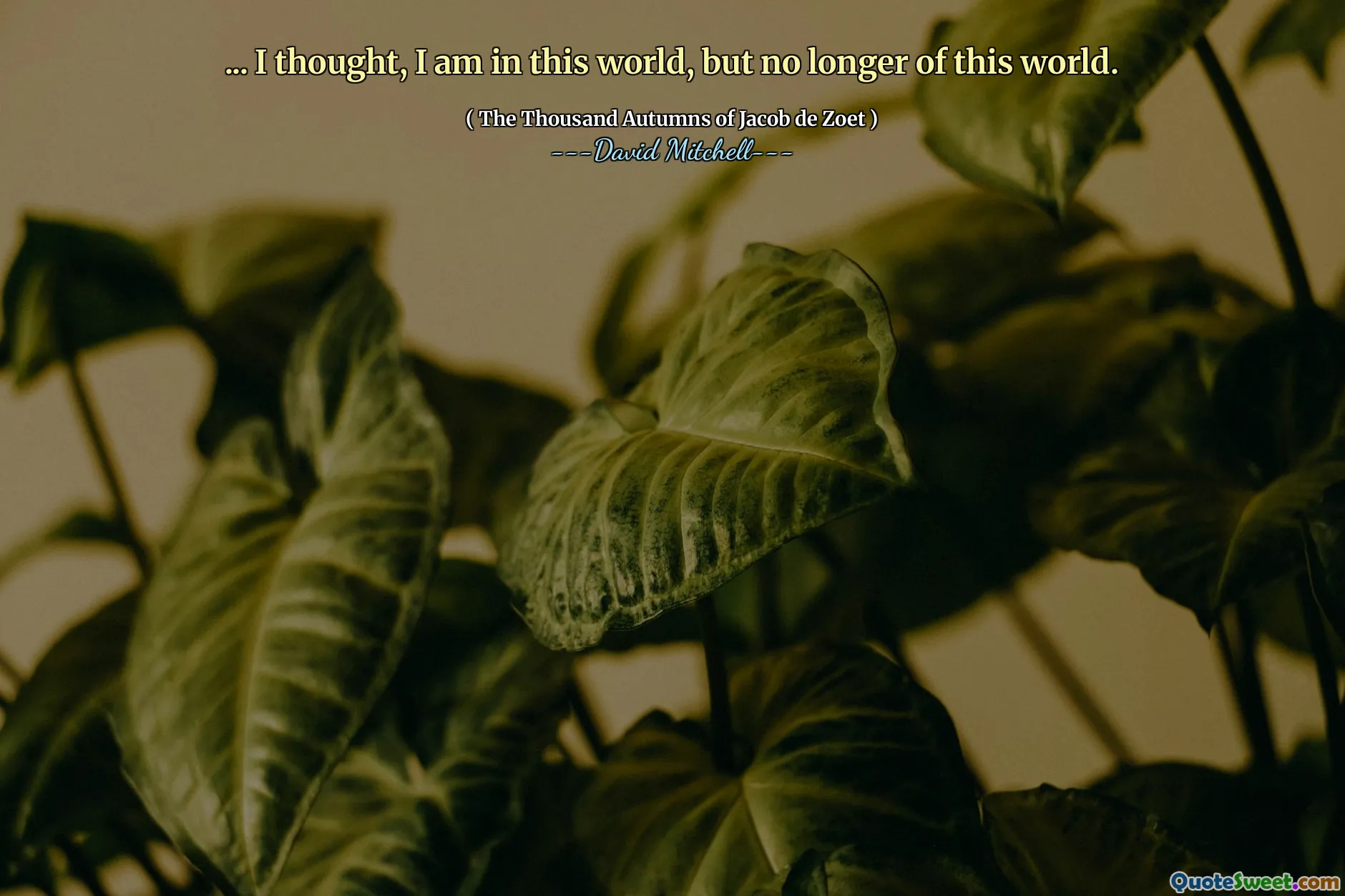 ……我想，我在这个世界上，但不再属于这个世界了。