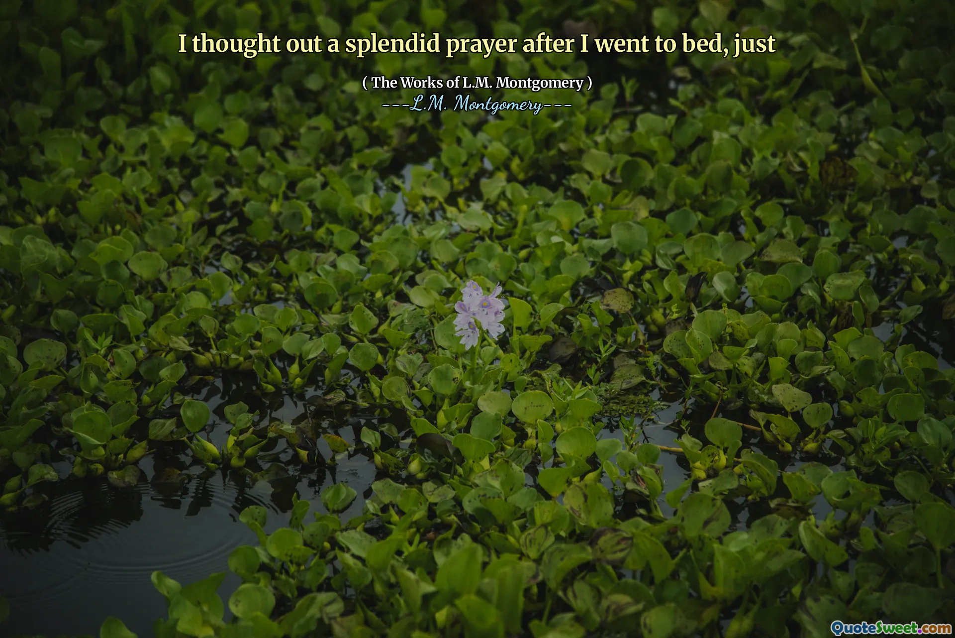 I thought out a splendid prayer after I went to bed, just