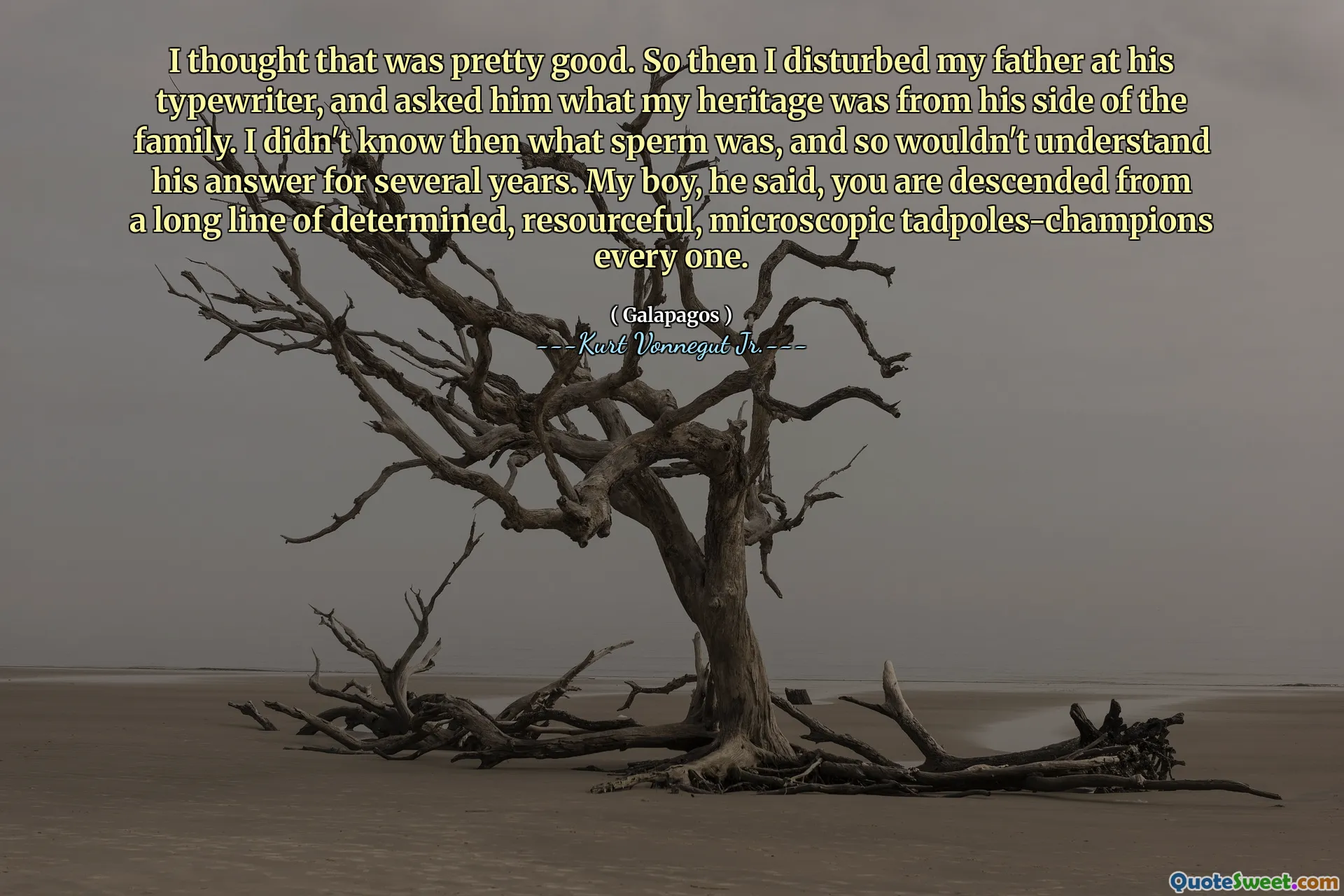 Saya pikir itu cukup bagus. Jadi saya mengganggu ayah saya di mesin tik -mesin, dan bertanya kepadanya apa warisan saya dari sisi keluarga. Saya tidak tahu apa itu sperma itu, dan karenanya tidak akan memahami jawabannya selama beberapa tahun. Anak laki-laki saya, katanya, Anda turun dari garis panjang juara berudu mikroskopis, setiap orang.