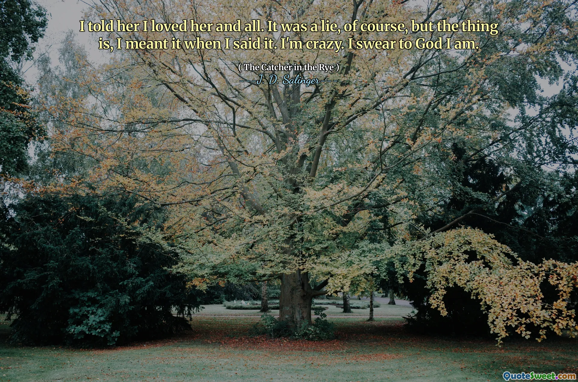 Я сказал ей, что люблю ее и все. Конечно, это была ложь, но дело в том, что я имел в виду это, когда сказал это. Я сумасшедший. Клянусь Богом, я есть.