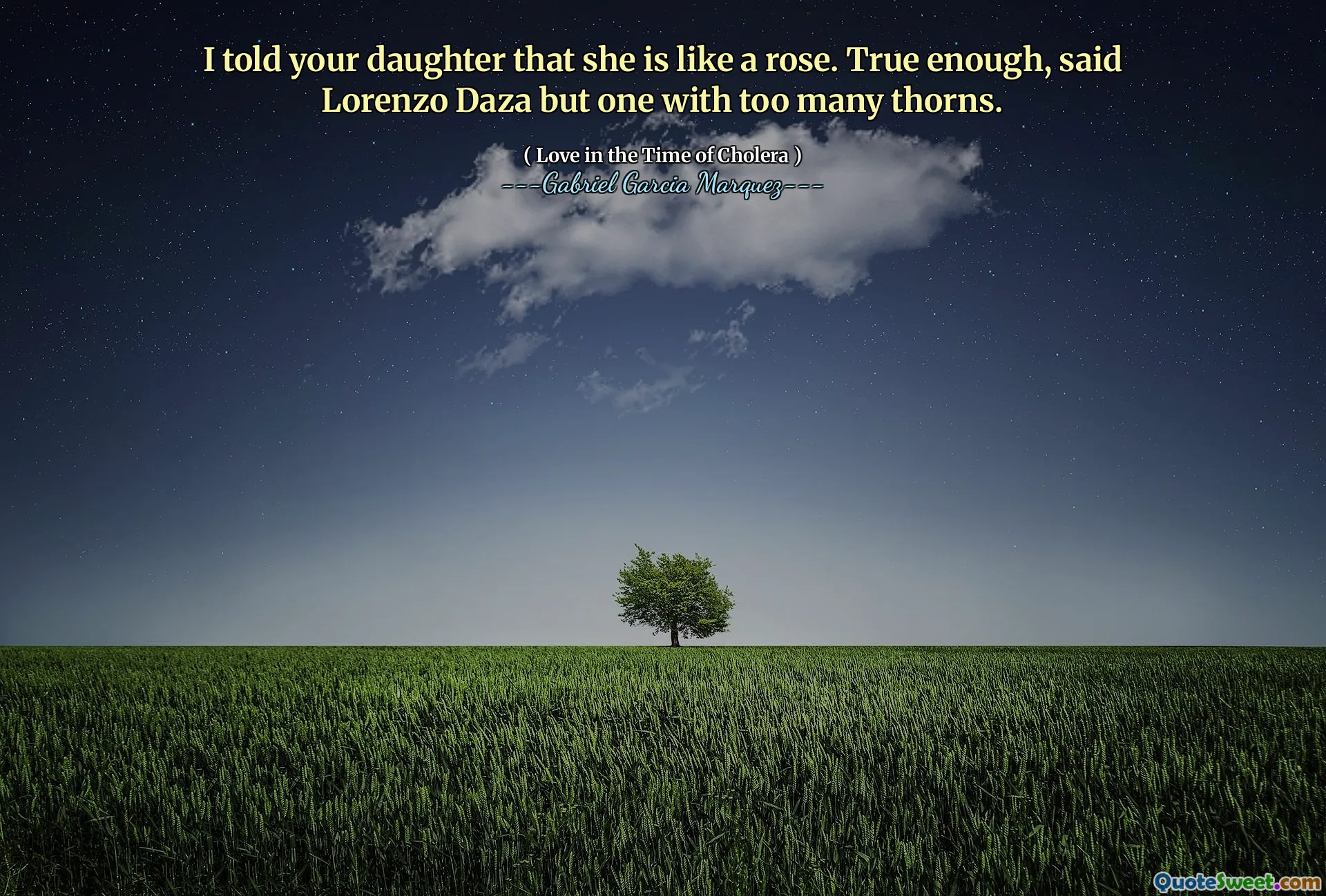 I told your daughter that she is like a rose. True enough, said Lorenzo Daza but one with too many thorns.