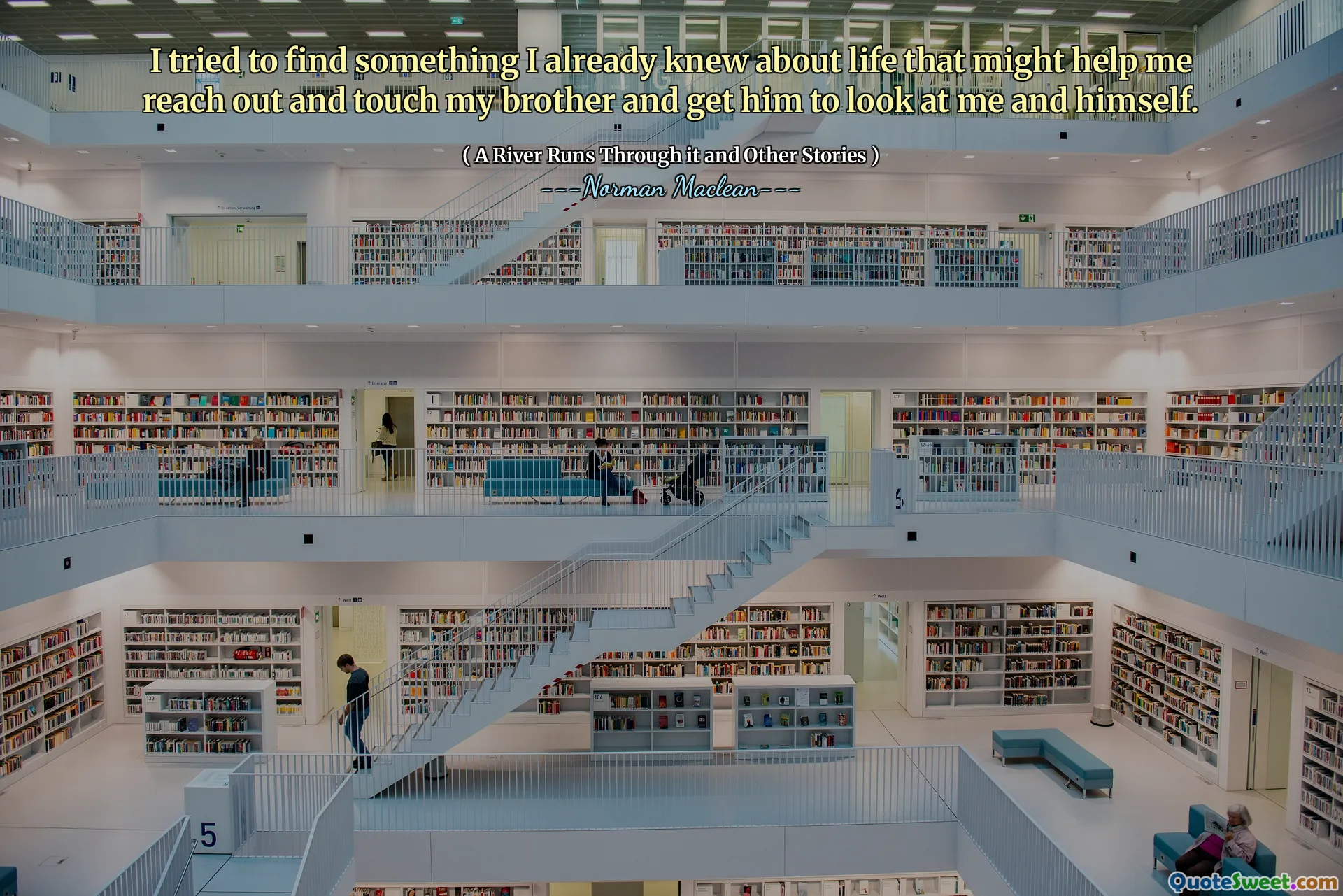 I tried to find something I already knew about life that might help me reach out and touch my brother and get him to look at me and himself.