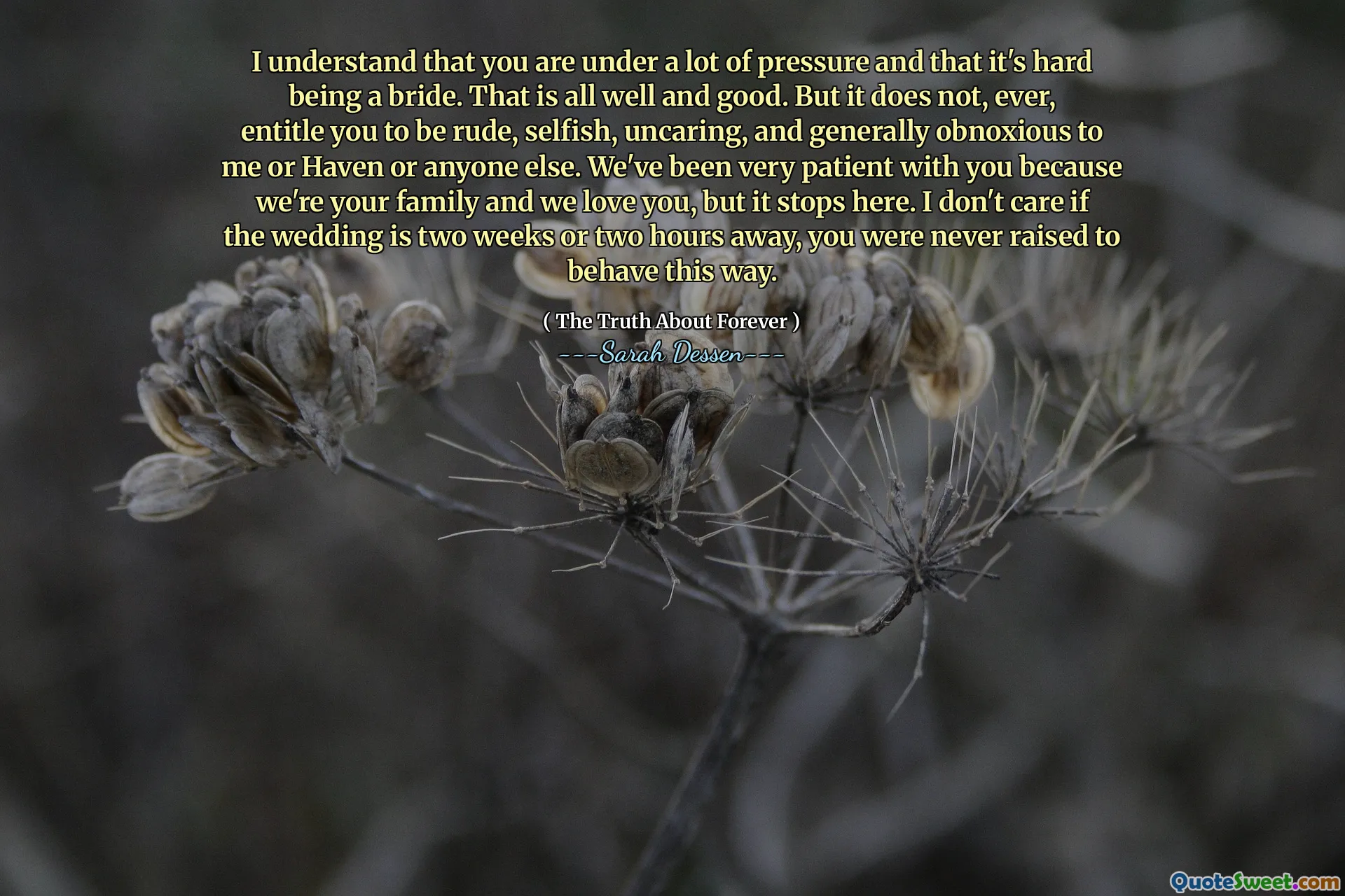 I understand that you are under a lot of pressure and that it's hard being a bride. That is all well and good. But it does not, ever, entitle you to be rude, selfish, uncaring, and generally obnoxious to me or Haven or anyone else. We've been very patient with you because we're your family and we love you, but it stops here. I don't care if the wedding is two weeks or two hours away, you were never raised to behave this way.