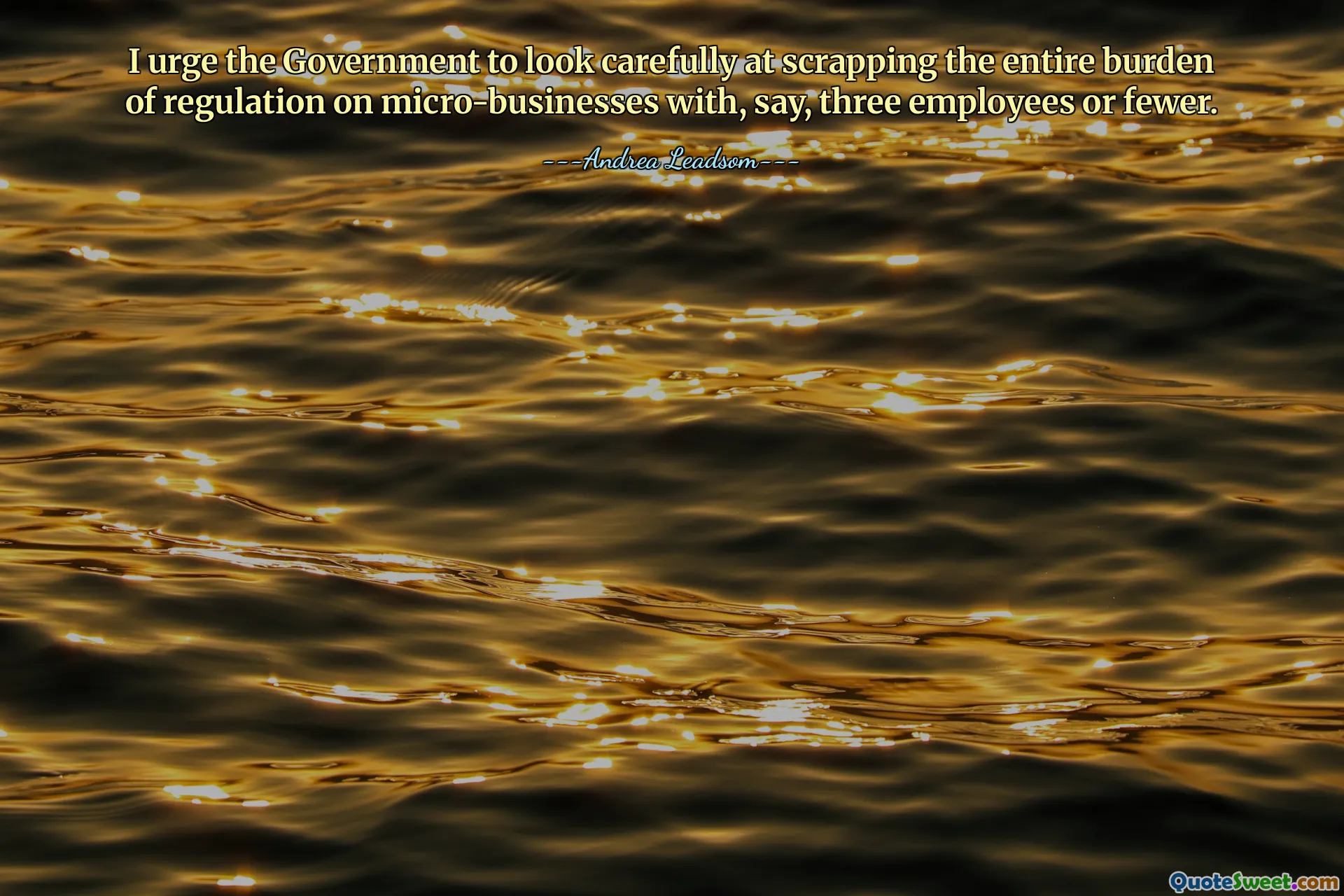 I urge the Government to look carefully at scrapping the entire burden of regulation on micro-businesses with, say, three employees or fewer.