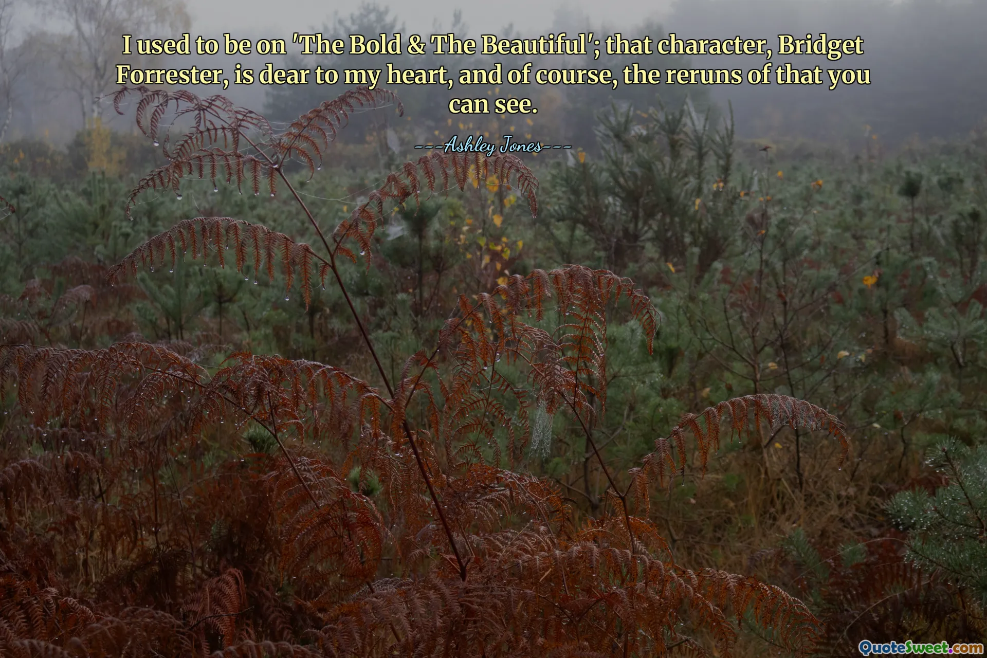 I used to be on 'The Bold & The Beautiful'; that character, Bridget Forrester, is dear to my heart, and of course, the reruns of that you can see.