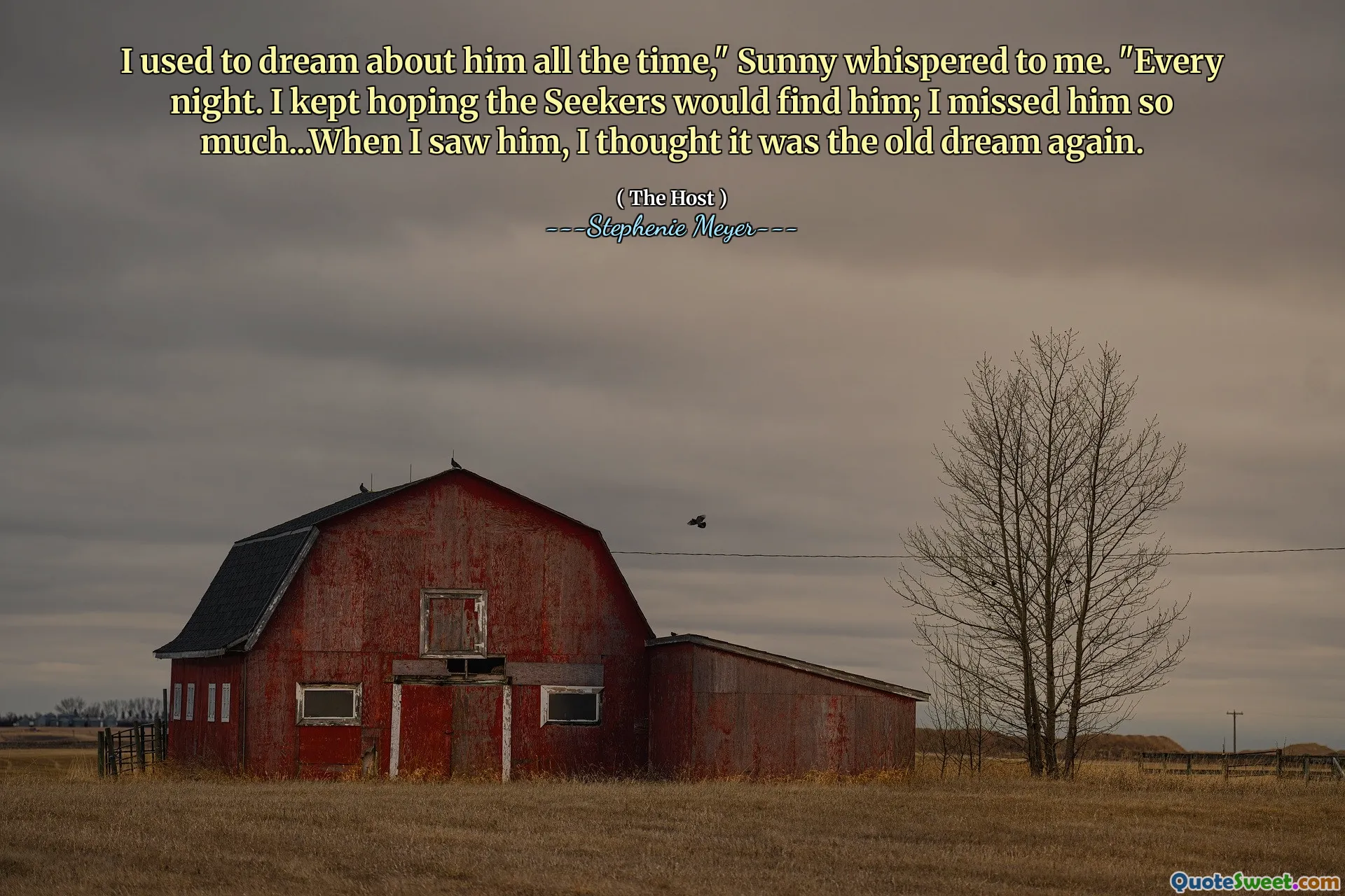 I used to dream about him all the time," Sunny whispered to me. "Every night. I kept hoping the Seekers would find him; I missed him so much...When I saw him, I thought it was the old dream again.