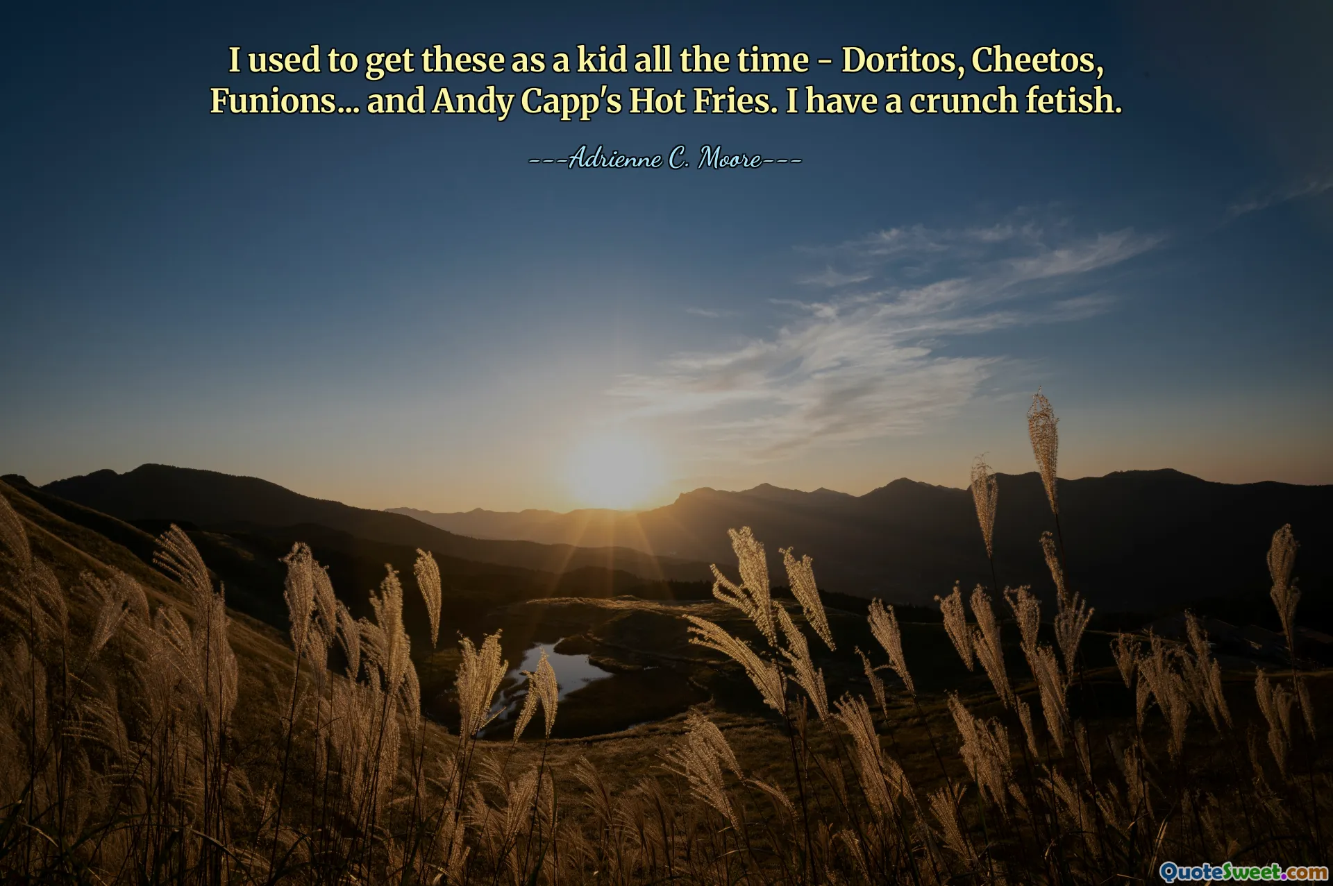 나는 어렸을 때 이것들을 항상 사곤 했습니다 - Doritos, Cheetos, Funyuns... 그리고 Andy Capp's Hot Fries. 나는 위기 페티쉬를 가지고 있습니다.