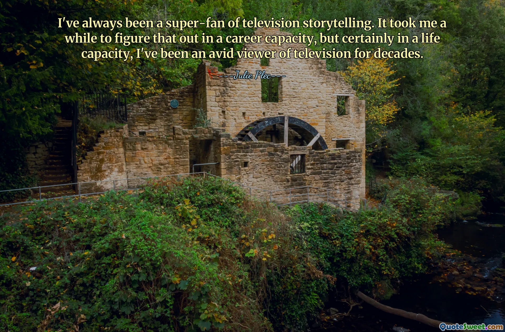 I've always been a super-fan of television storytelling. It took me a while to figure that out in a career capacity, but certainly in a life capacity, I've been an avid viewer of television for decades.