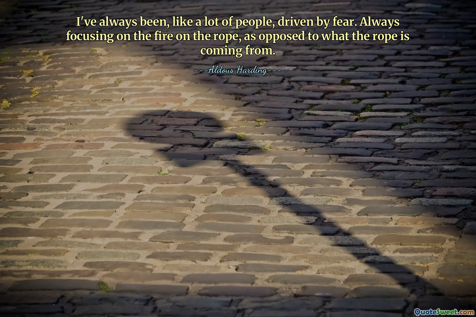 I've always been, like a lot of people, driven by fear. Always focusing on the fire on the rope, as opposed to what the rope is coming from.