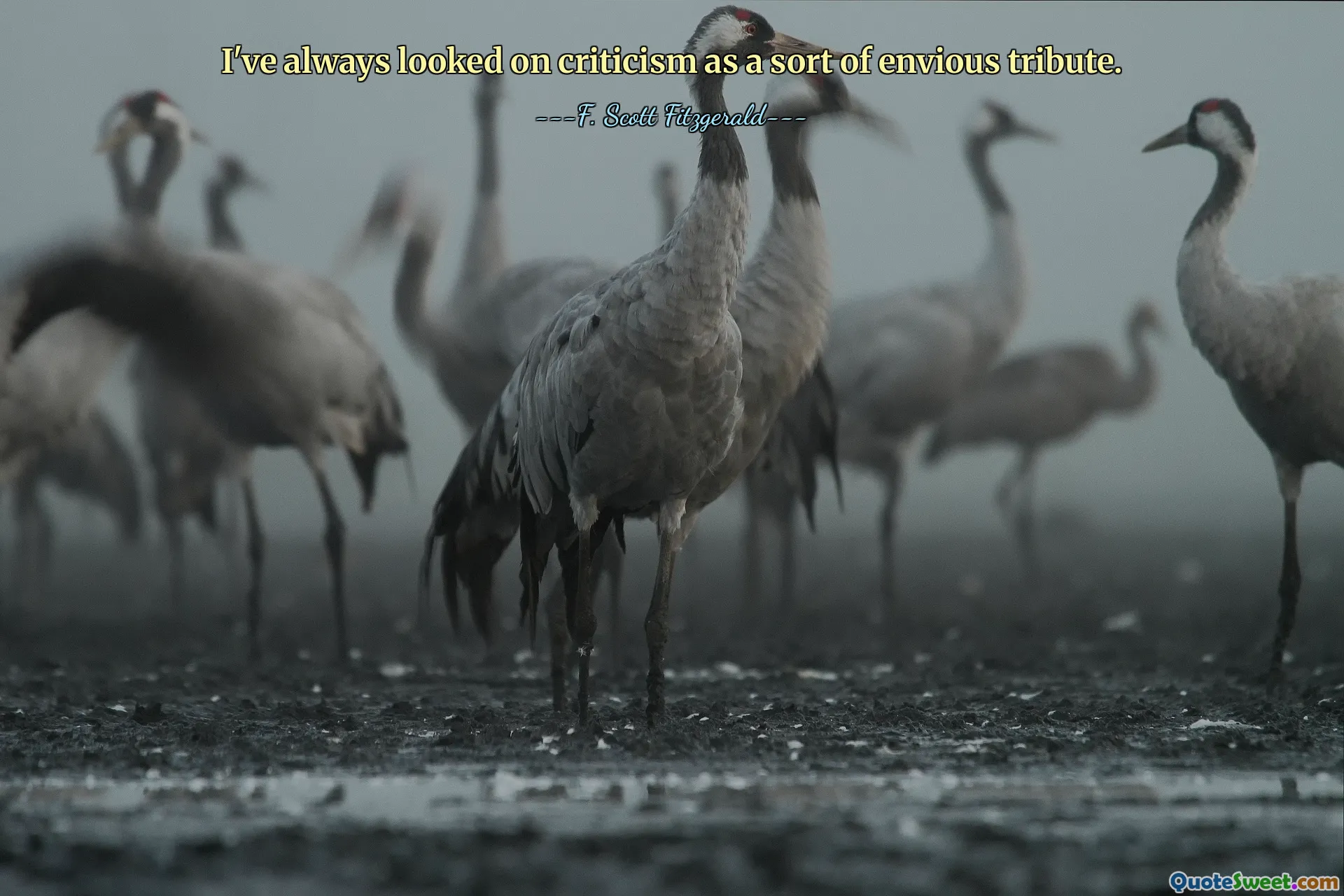 I've always looked on criticism as a sort of envious tribute.