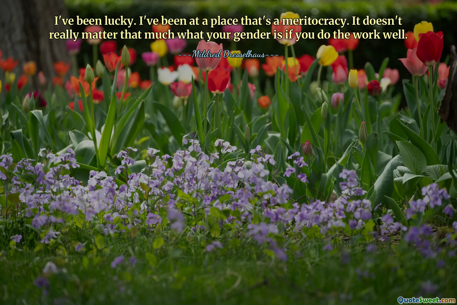 I've been lucky. I've been at a place that's a meritocracy. It doesn't really matter that much what your gender is if you do the work well.