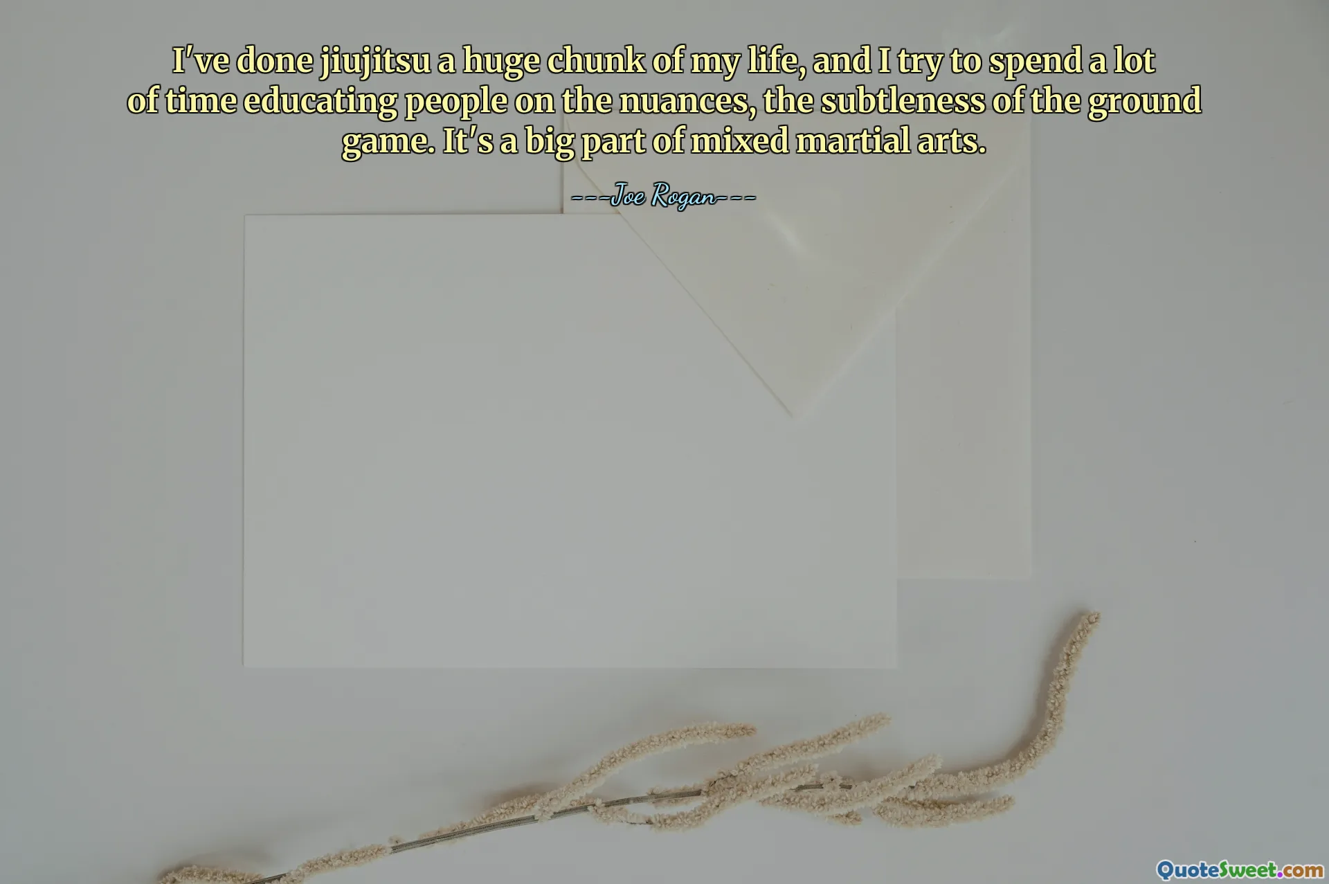 I've done jiujitsu a huge chunk of my life, and I try to spend a lot of time educating people on the nuances, the subtleness of the ground game. It's a big part of mixed martial arts.