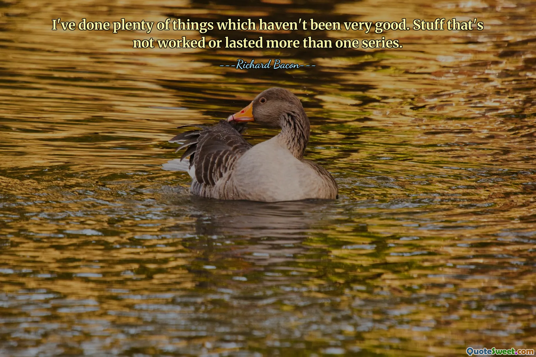 I've done plenty of things which haven't been very good. Stuff that's not worked or lasted more than one series.